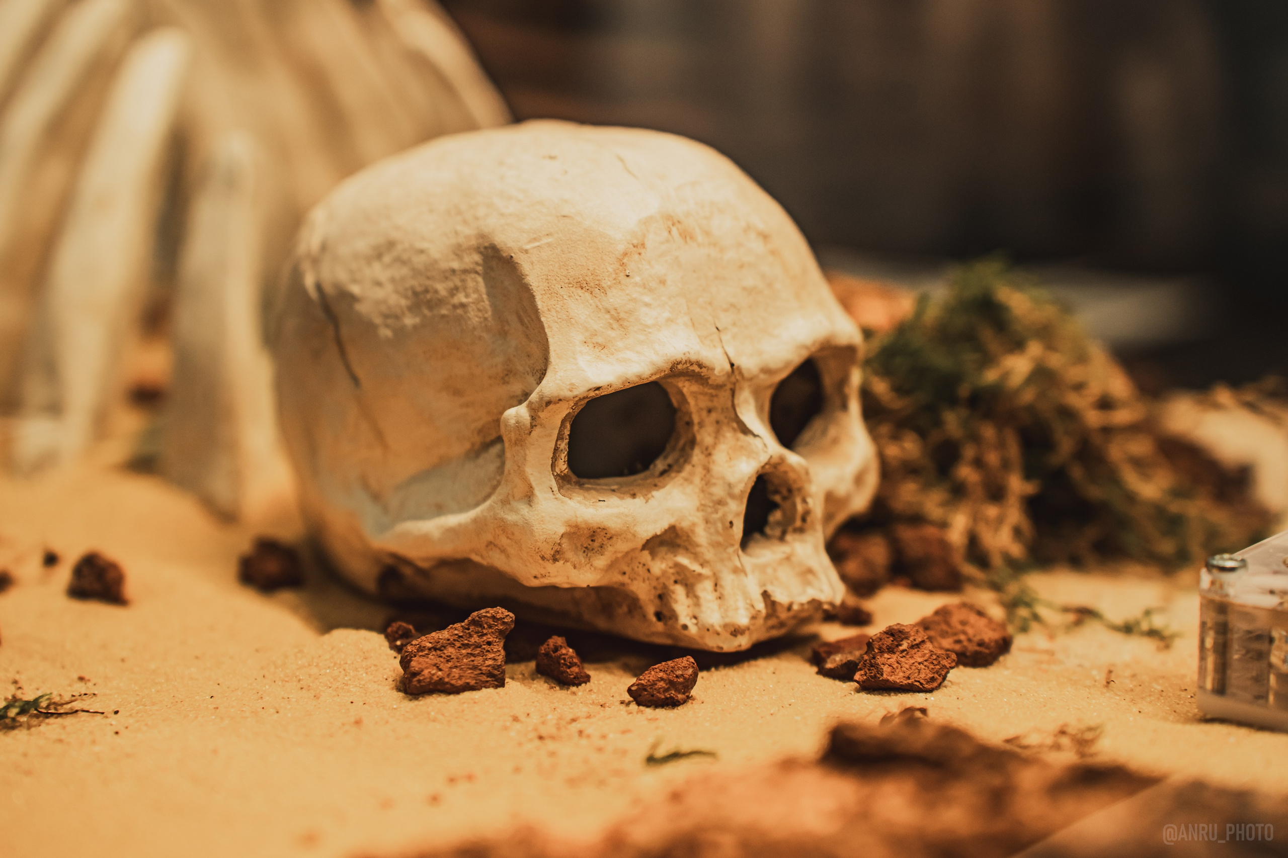 Fox Family fest. Репортажный фотограф Анастасия Рубцова