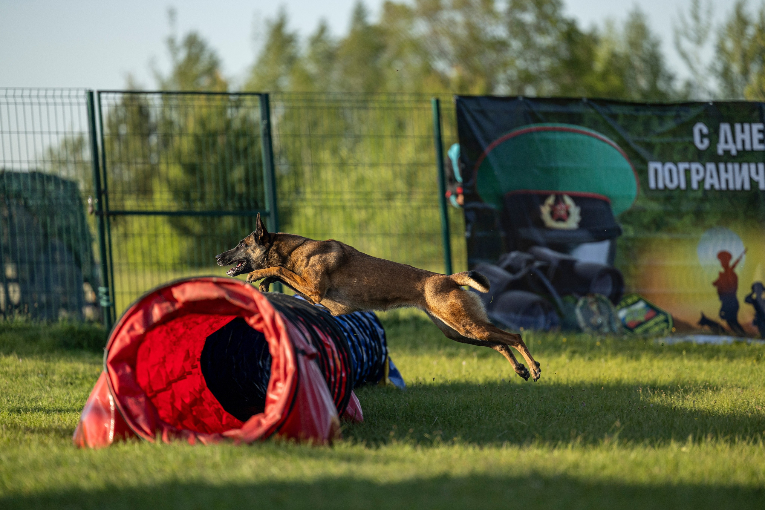 Испытания по мондьорингу в Нижнем Новгороде. Фотограф-анималист Анна Маринич