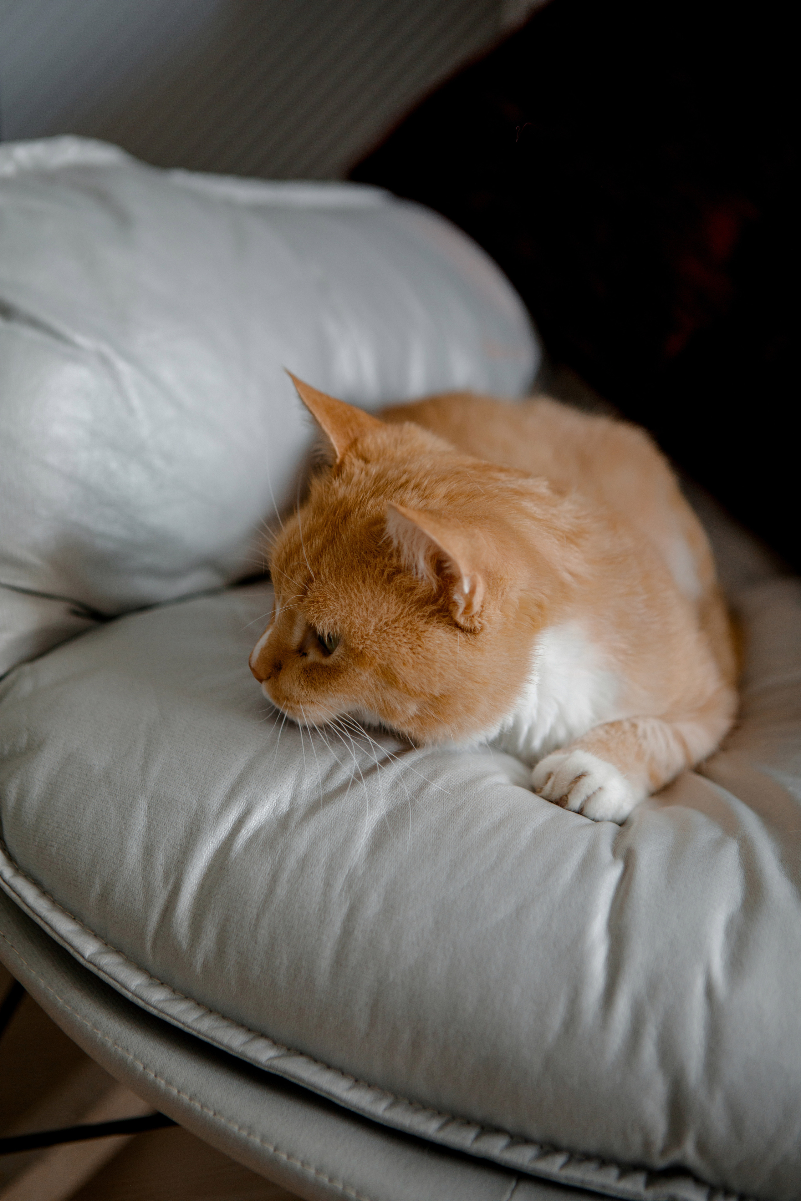Дима Динара и Сашуля. Свадебный и семейный фотограф Ибрагимова Мария из Екатеринбурга