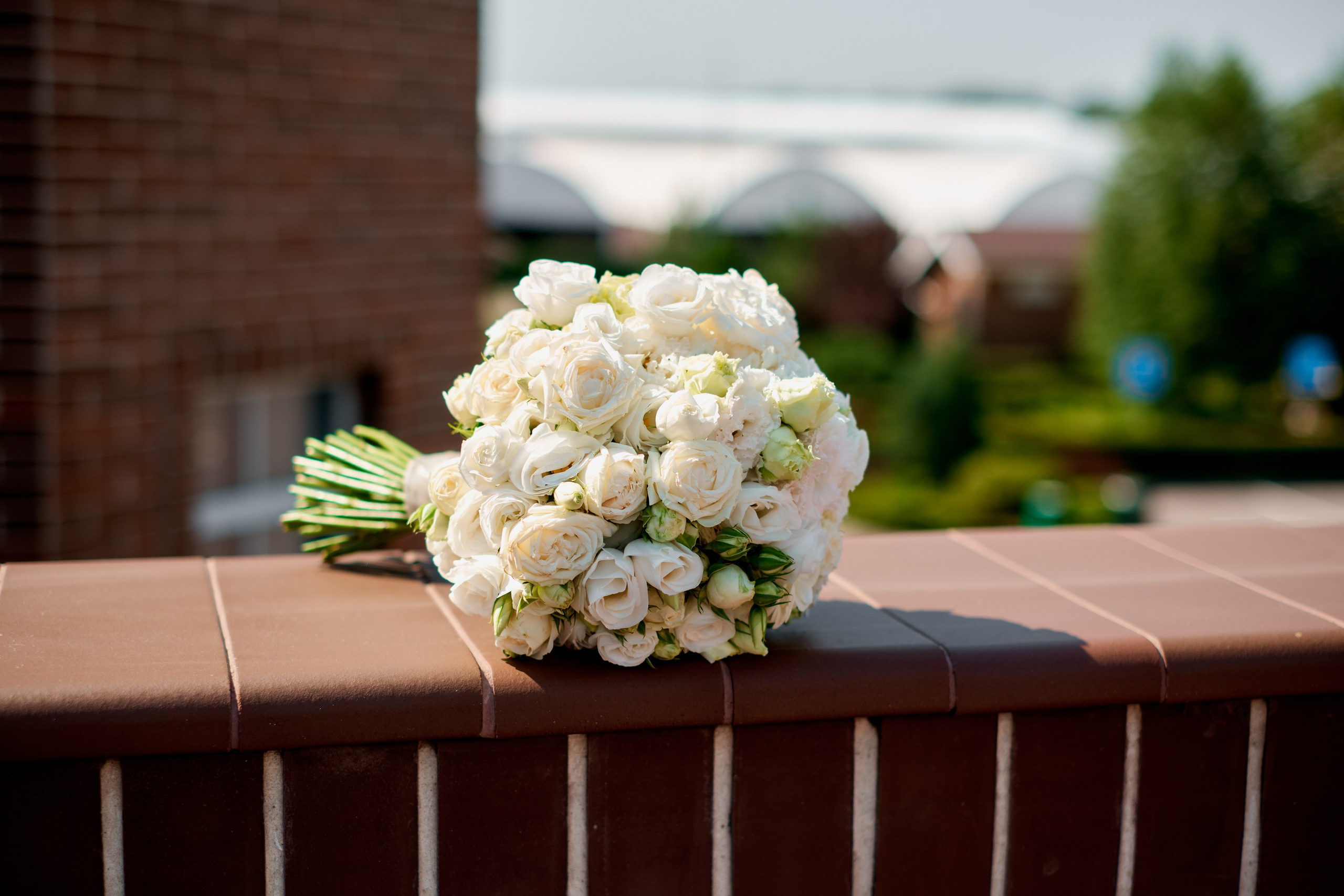 Даниил и Кристина. Фотограф Таганрог Анна Трайжон