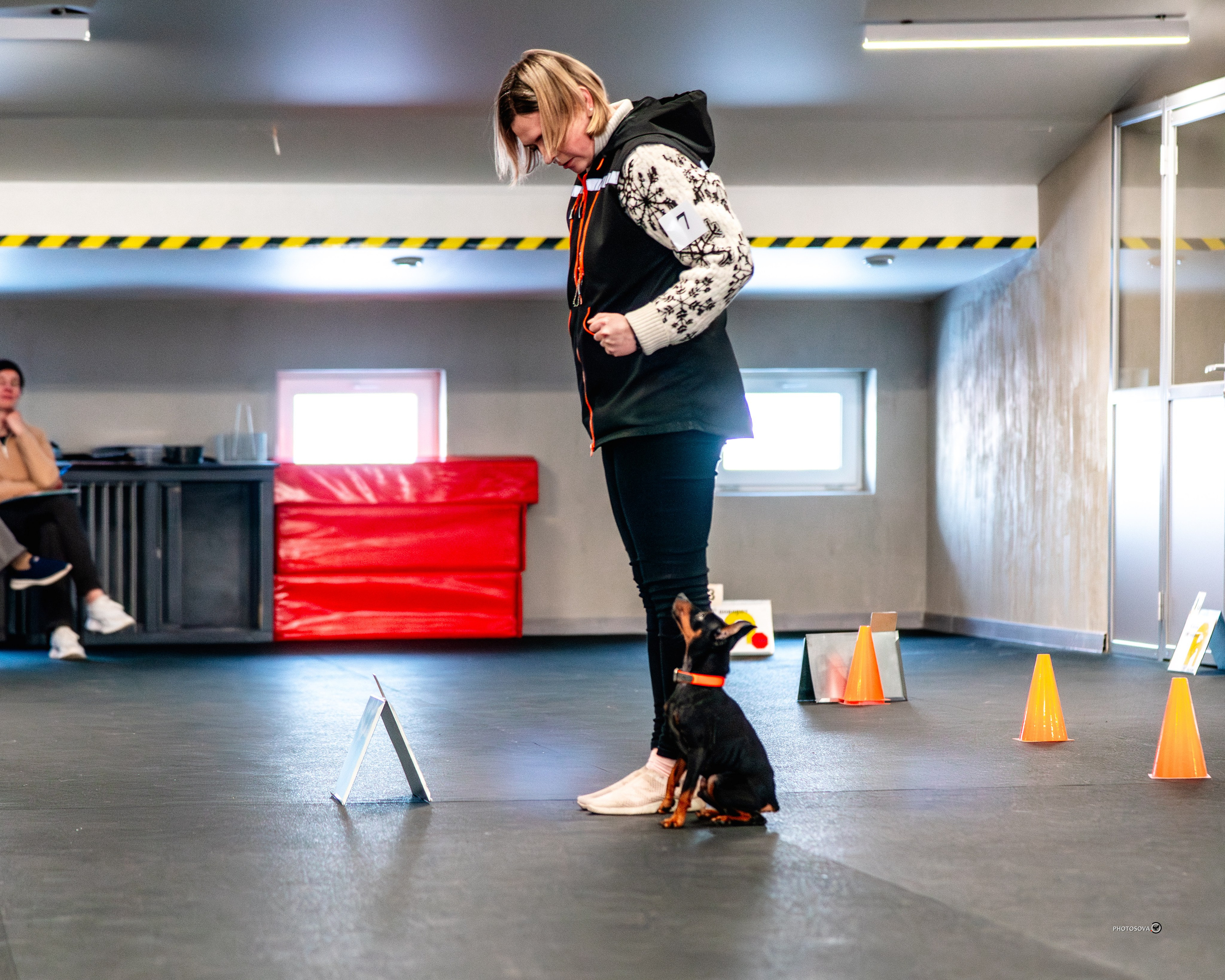 ТЫ И Я (соревнования по ралли-обидиенс). Фотограф-анималист, семейный фотограф в Москве и Подмосковье. Фотосъёмка кинологических дисциплин