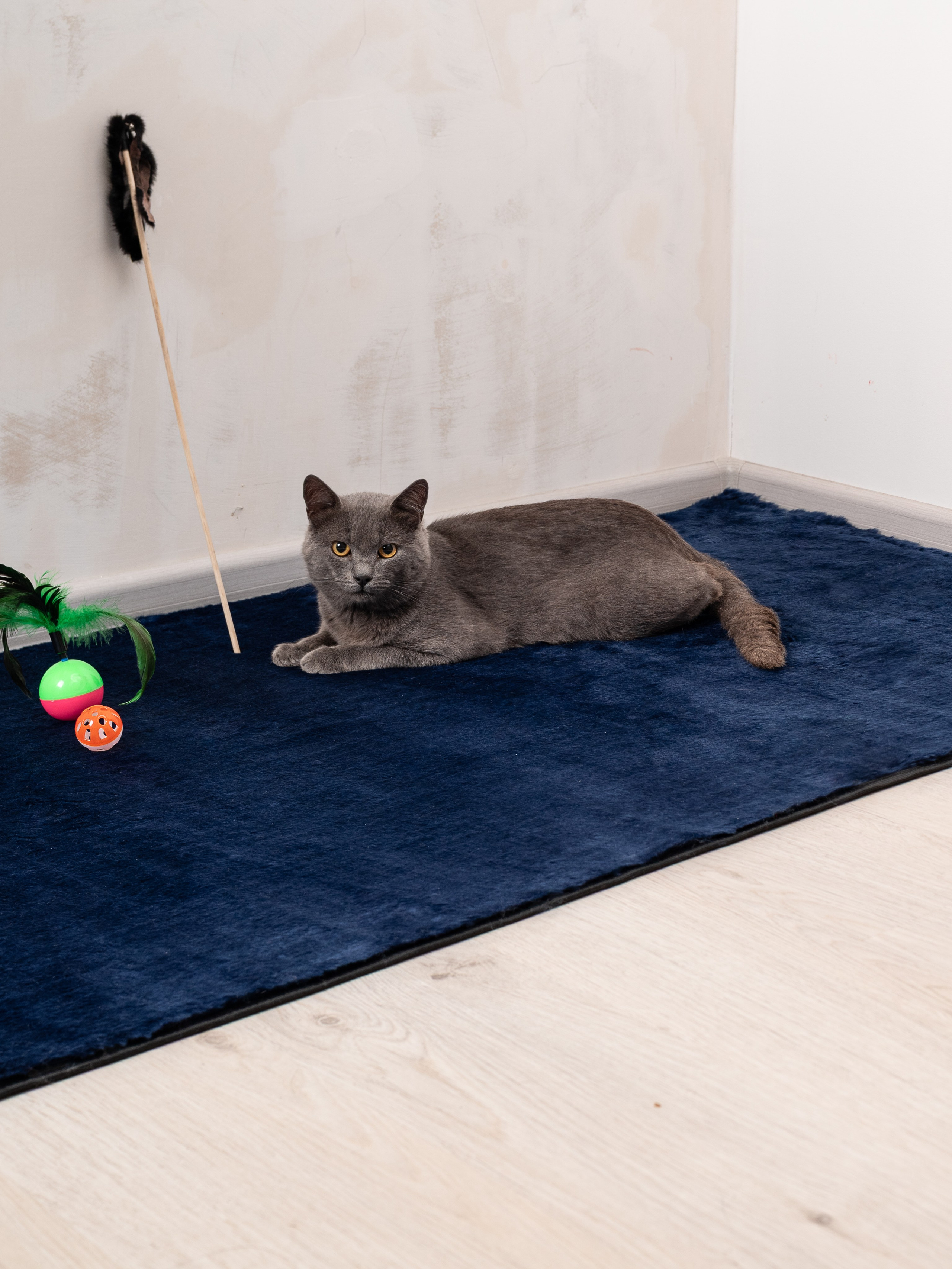 Коврики для дома. Предметный фотограф, фото для маркетплейсов Пятигорск, КМВ