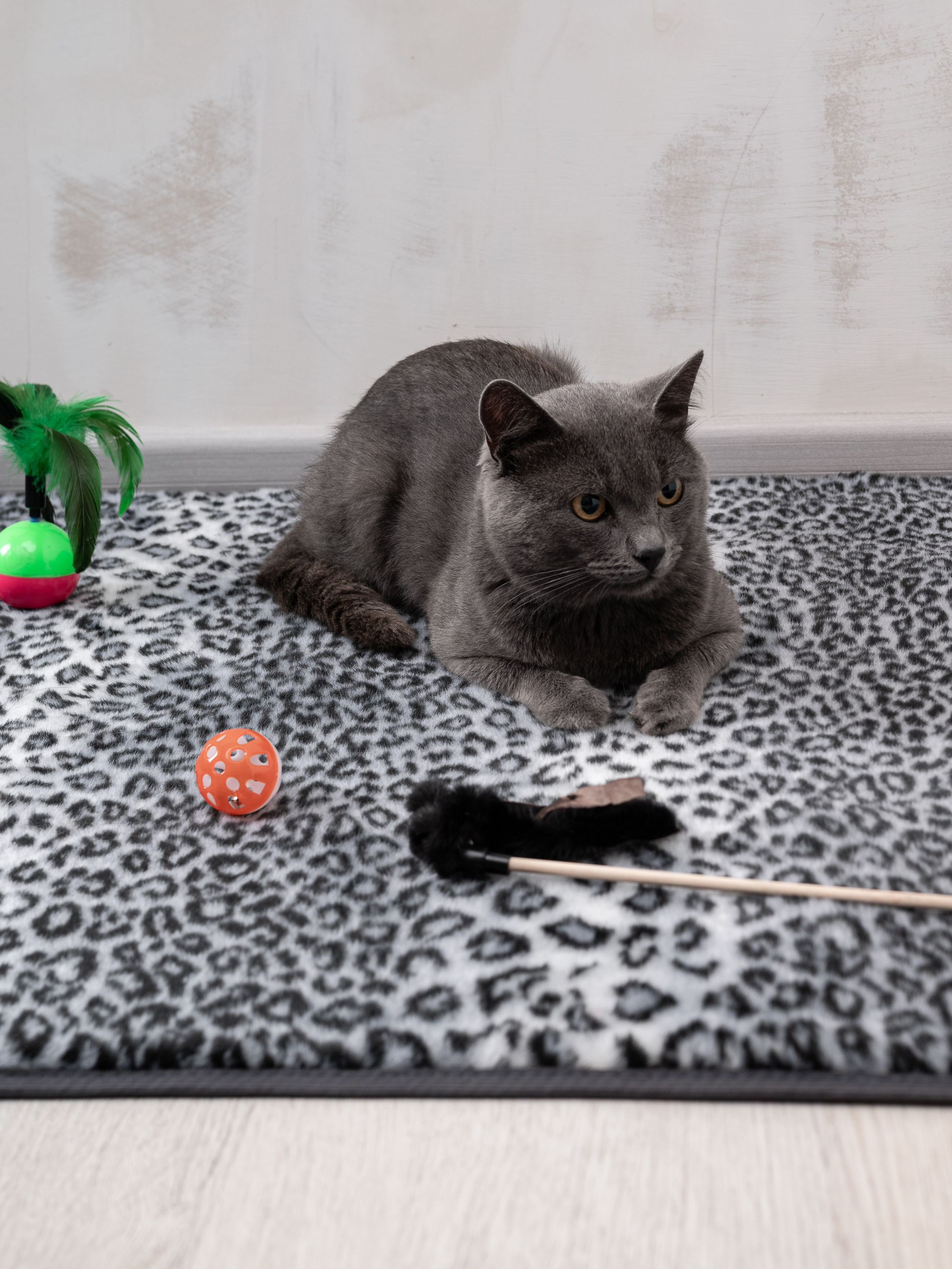 Коврики для дома. Предметный фотограф, фото для маркетплейсов Пятигорск, КМВ