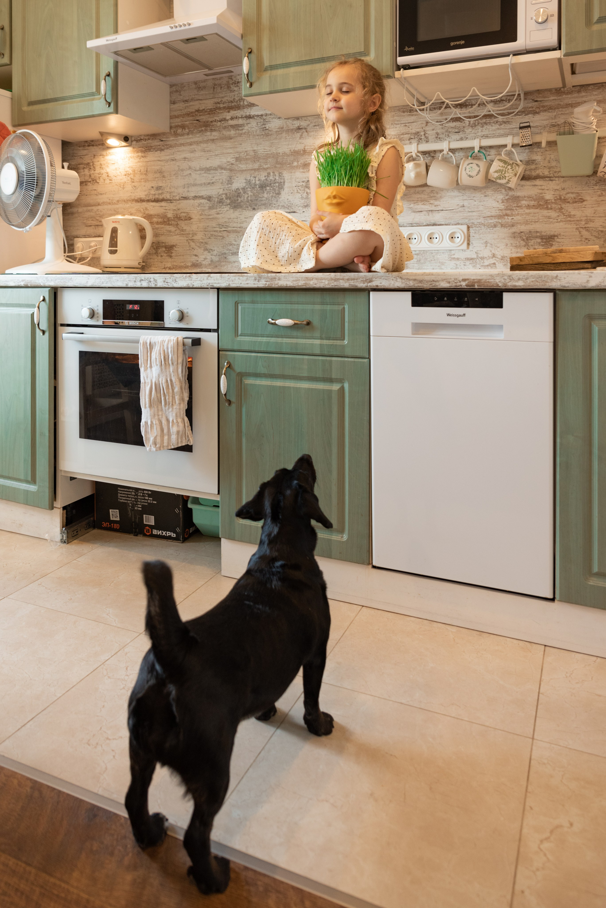 Алина, Милана и Александр. Фотограф в Санкт-Петербурге Виктор Кудряшов