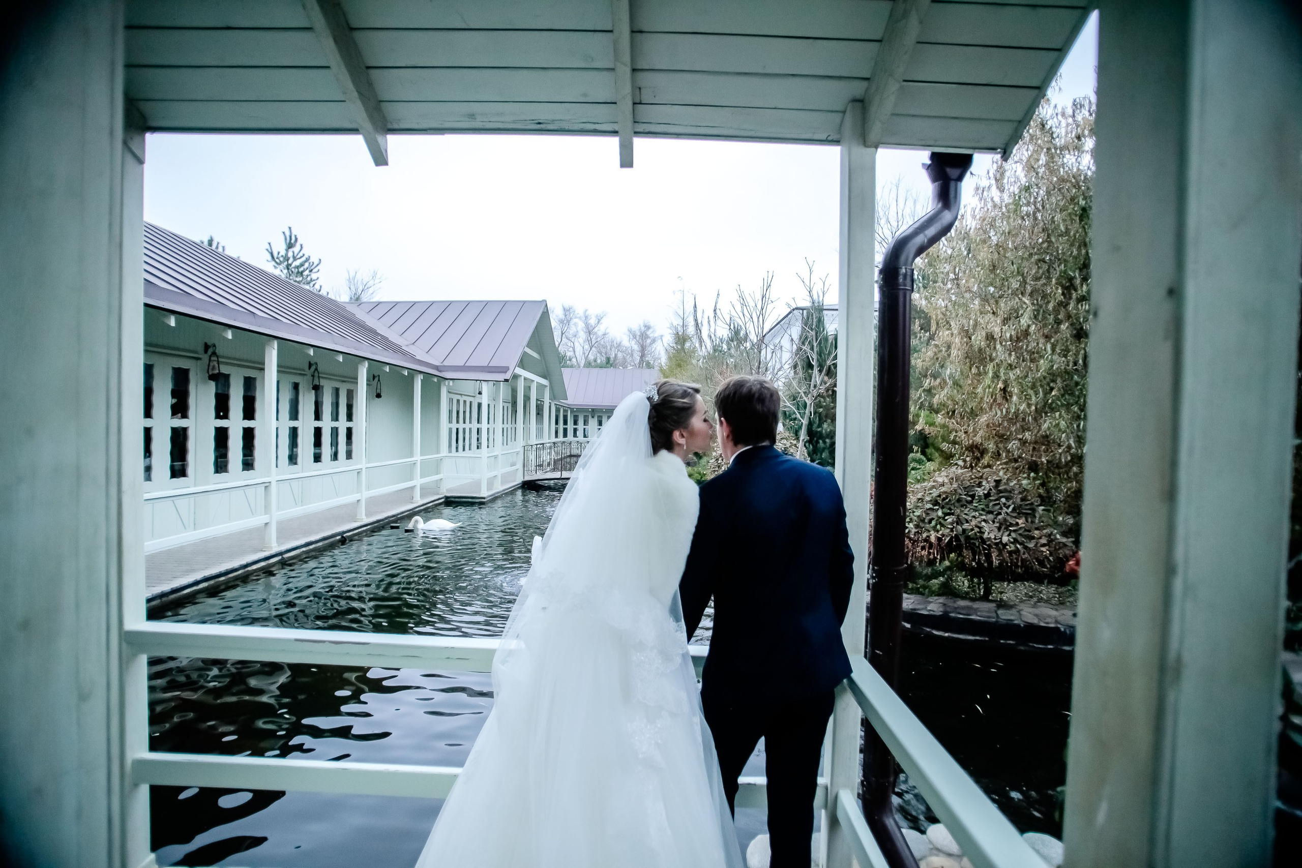 Прогулка/Walk. Максим Матвийченко и Виктория Басова профессионалы своего дела