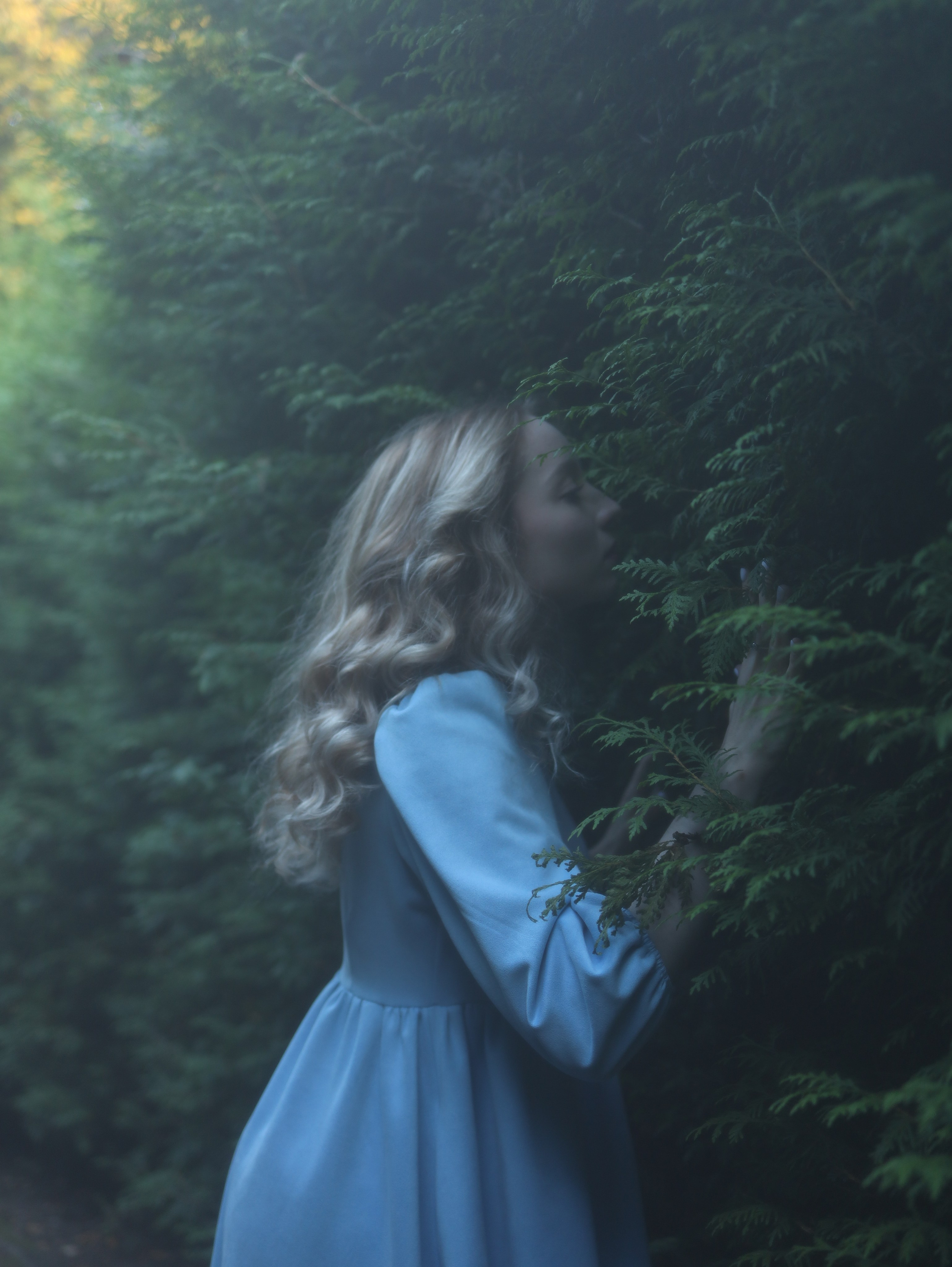 Алиса В Стране Чудес. Главная