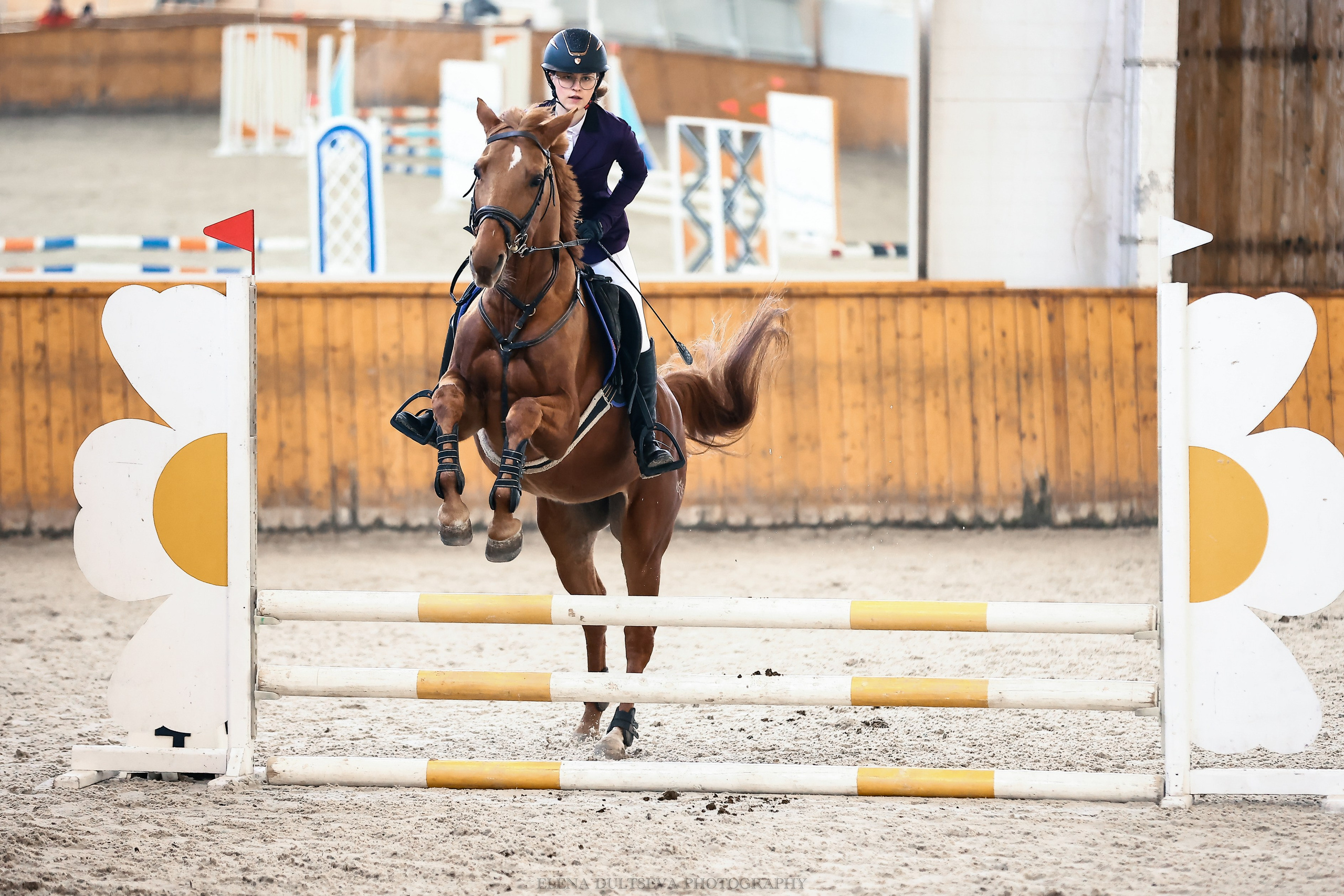 ТЕСТ 1. Конный фотограф Елена Дульцева