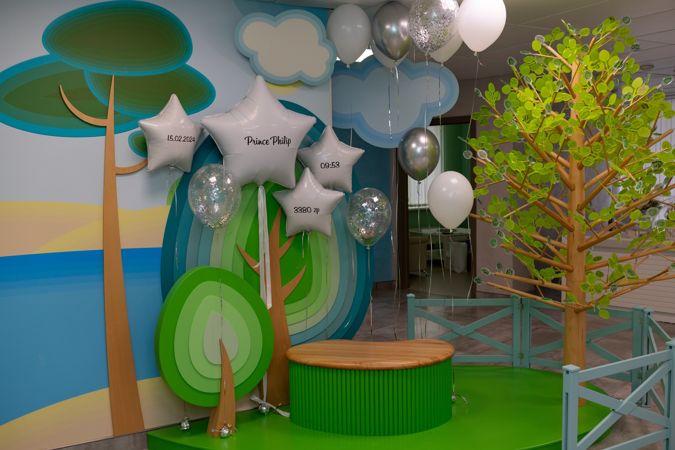 Фотограф в роддоме Сестрорецком г. Санкт-Петербург Банасиковская Ксения