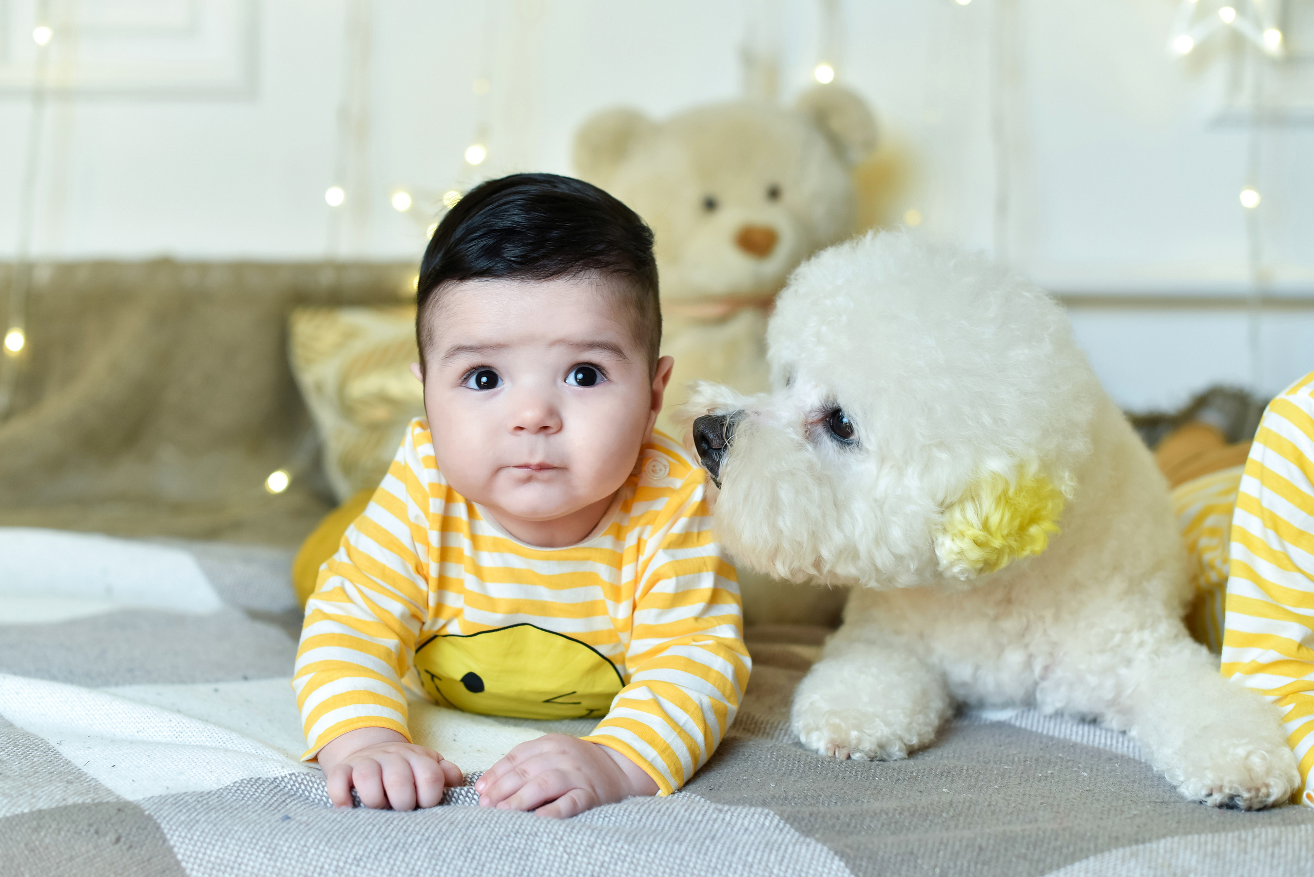 С Энштейном. Детский и семейный фотограф в Салават