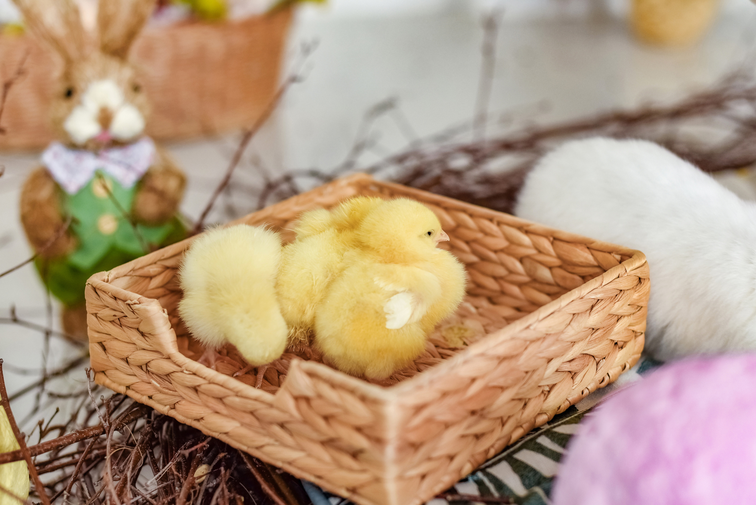 Проект «Пасха». Детский и семейный фотограф в Салават