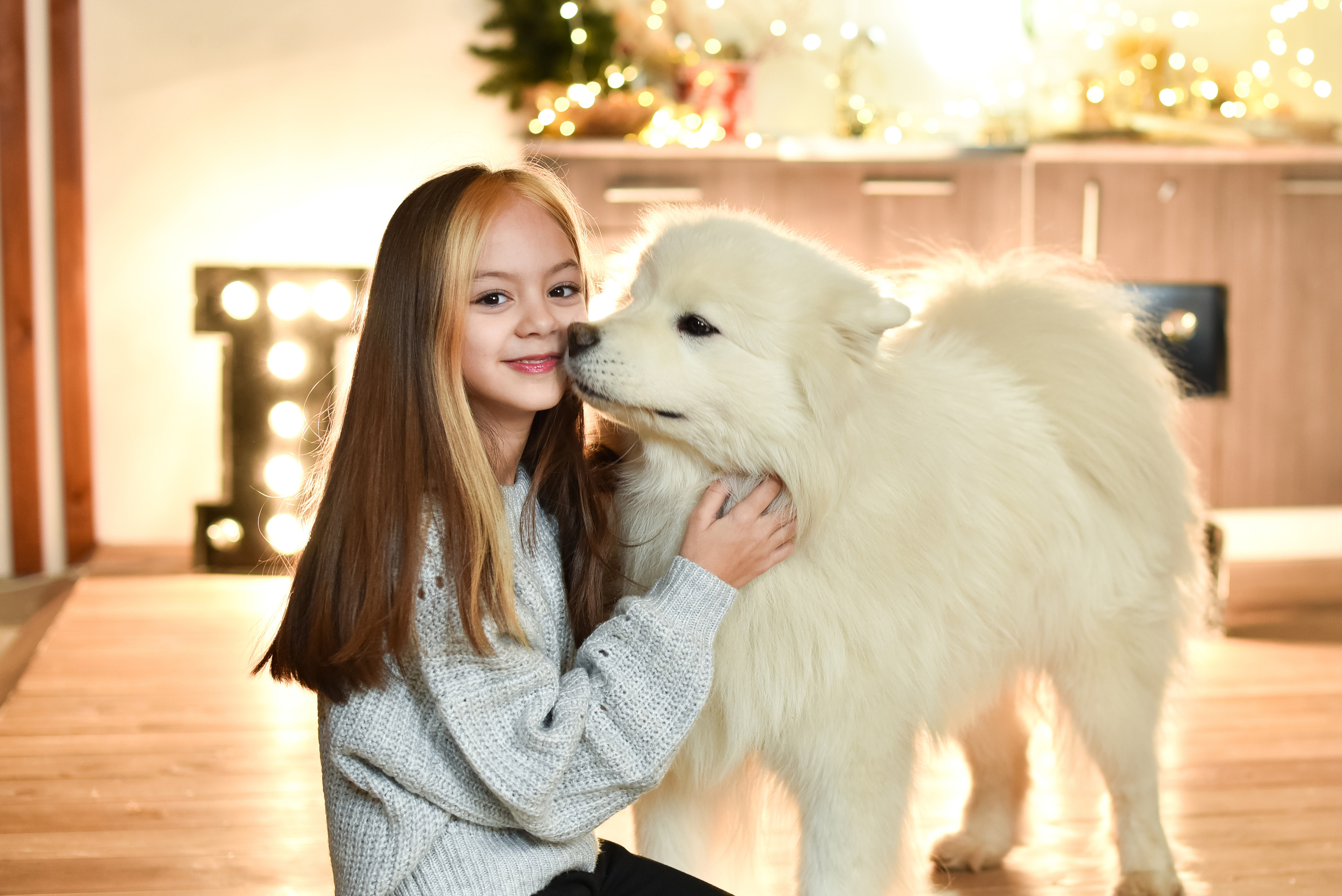 Проект с Платоном