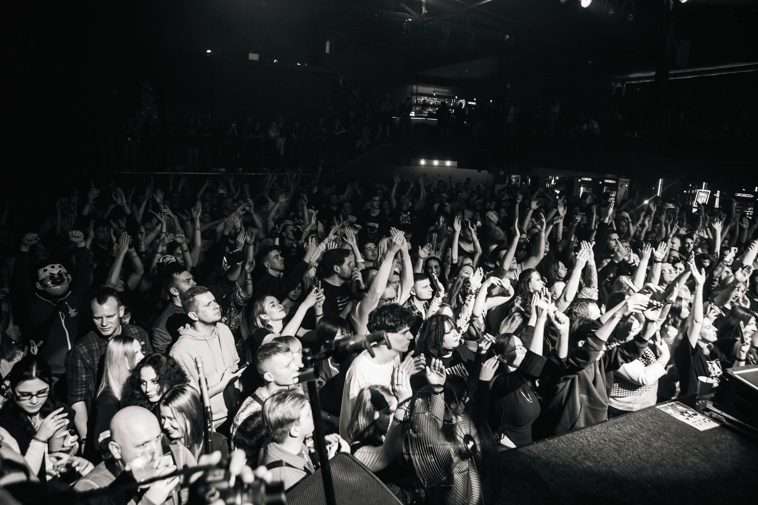 СКОТЫ 20.12.2025. Репортажный и портретный фотограф Михаил Мартиросян