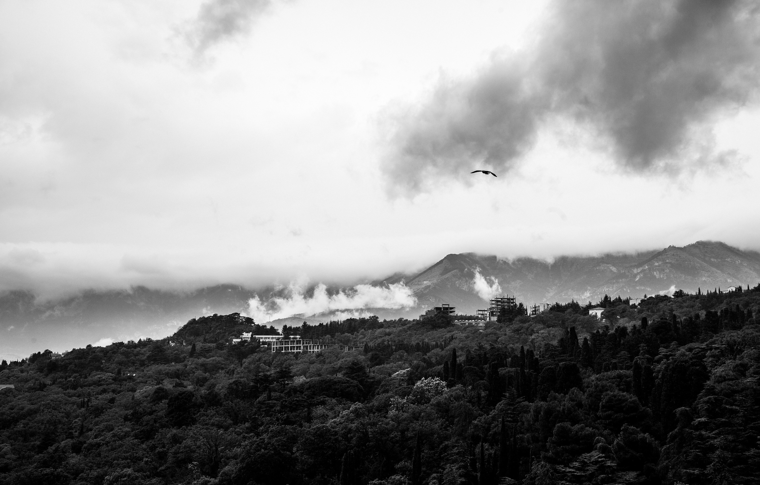 Леня и Максим