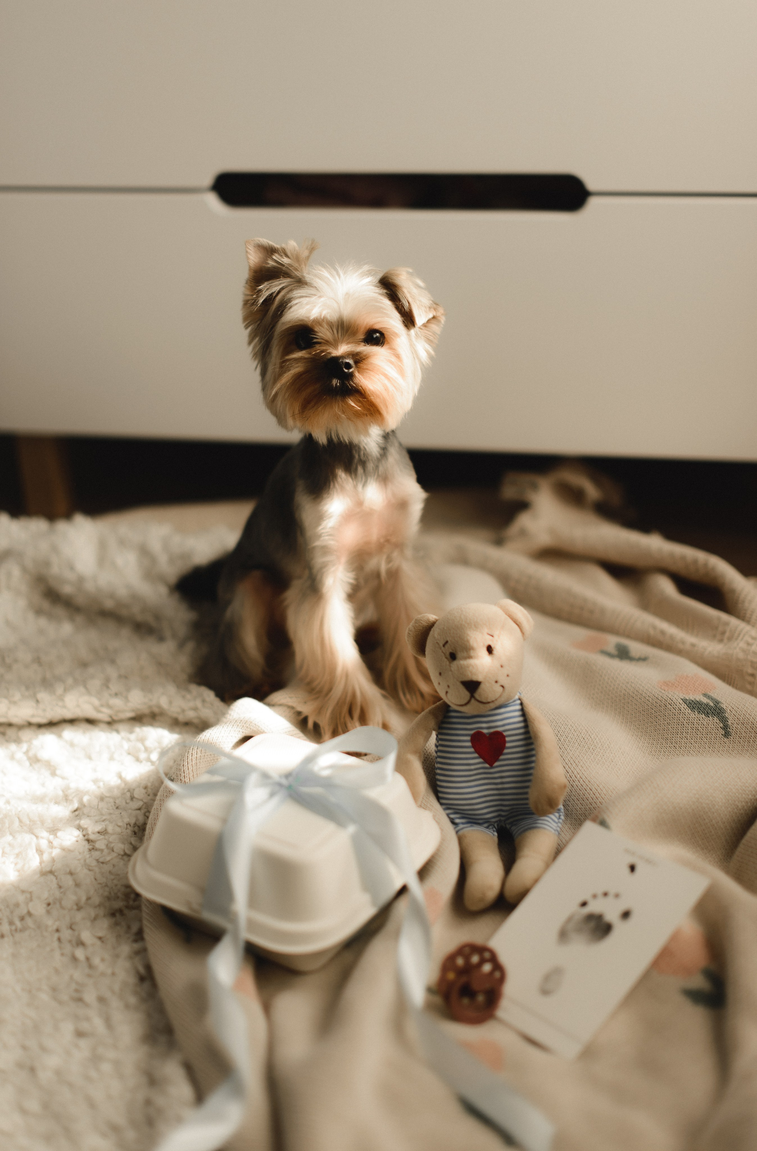 Первый месяц малышки Василисы. Семейный фотограф в г. Ставрополь, Сорокина Мария