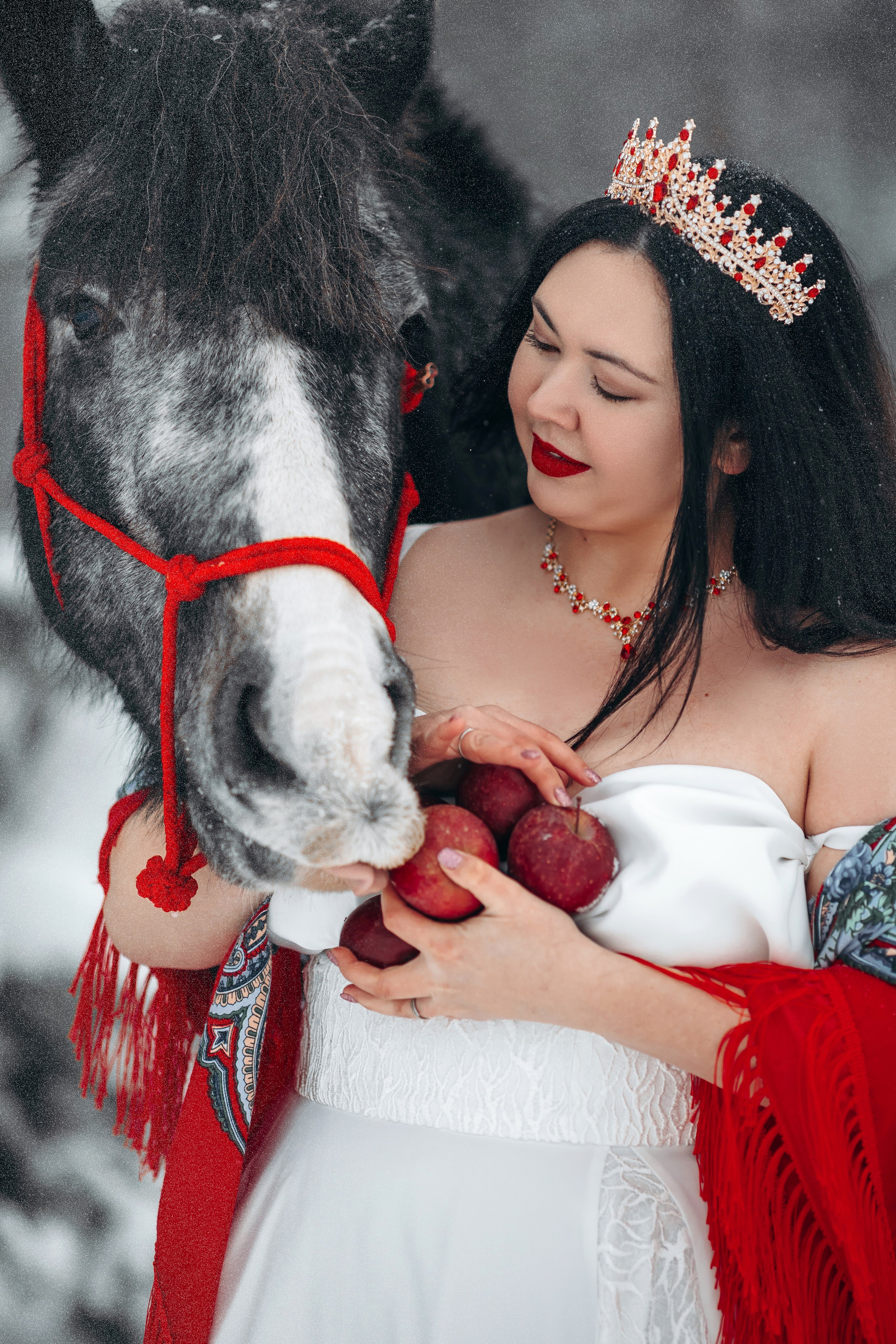 Яблоки на снегу. Анна Молчанова конный фотограф в Тюмени | фотосессии с лошадьми Тюмень