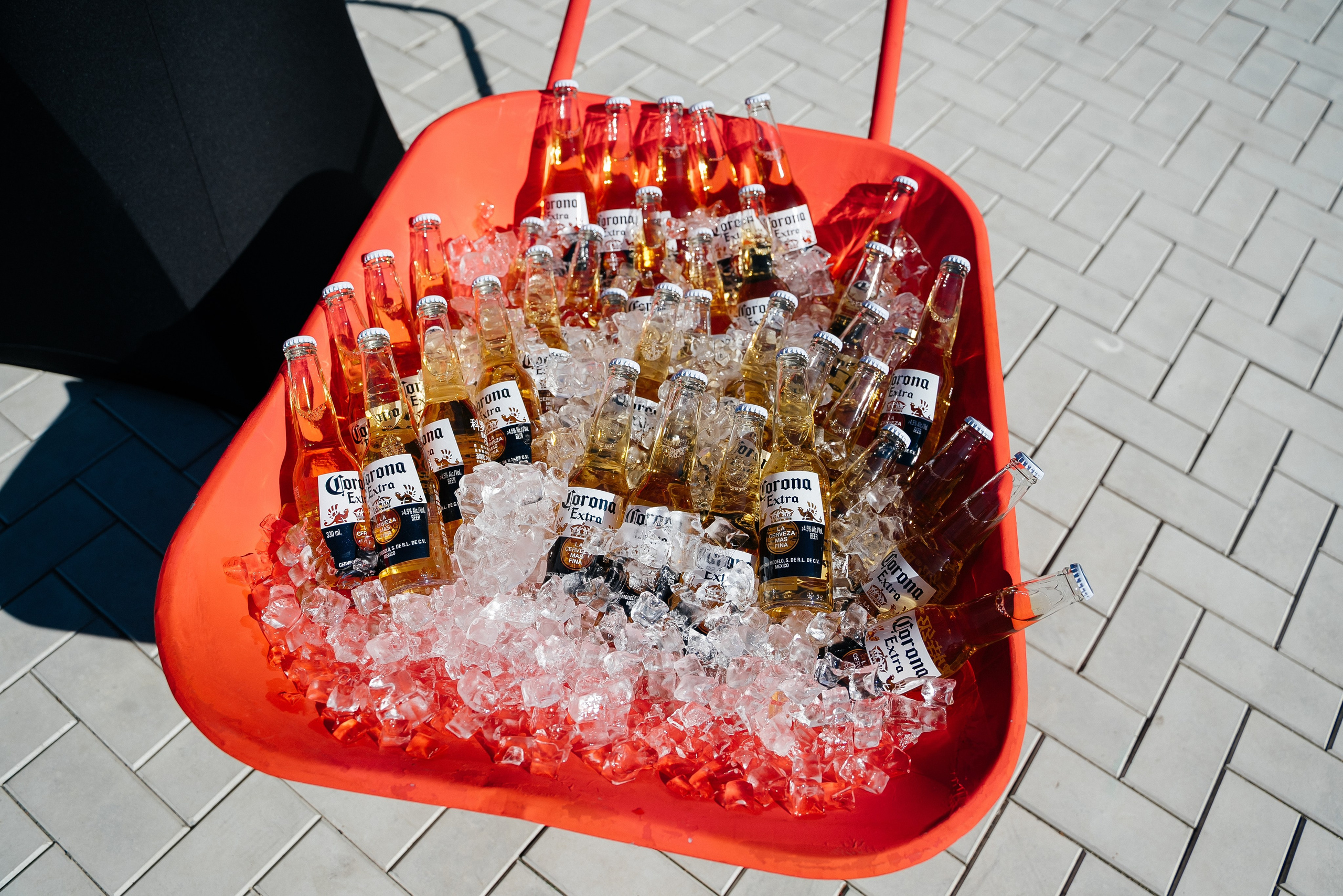 Дмитрий и Алиса. Главная