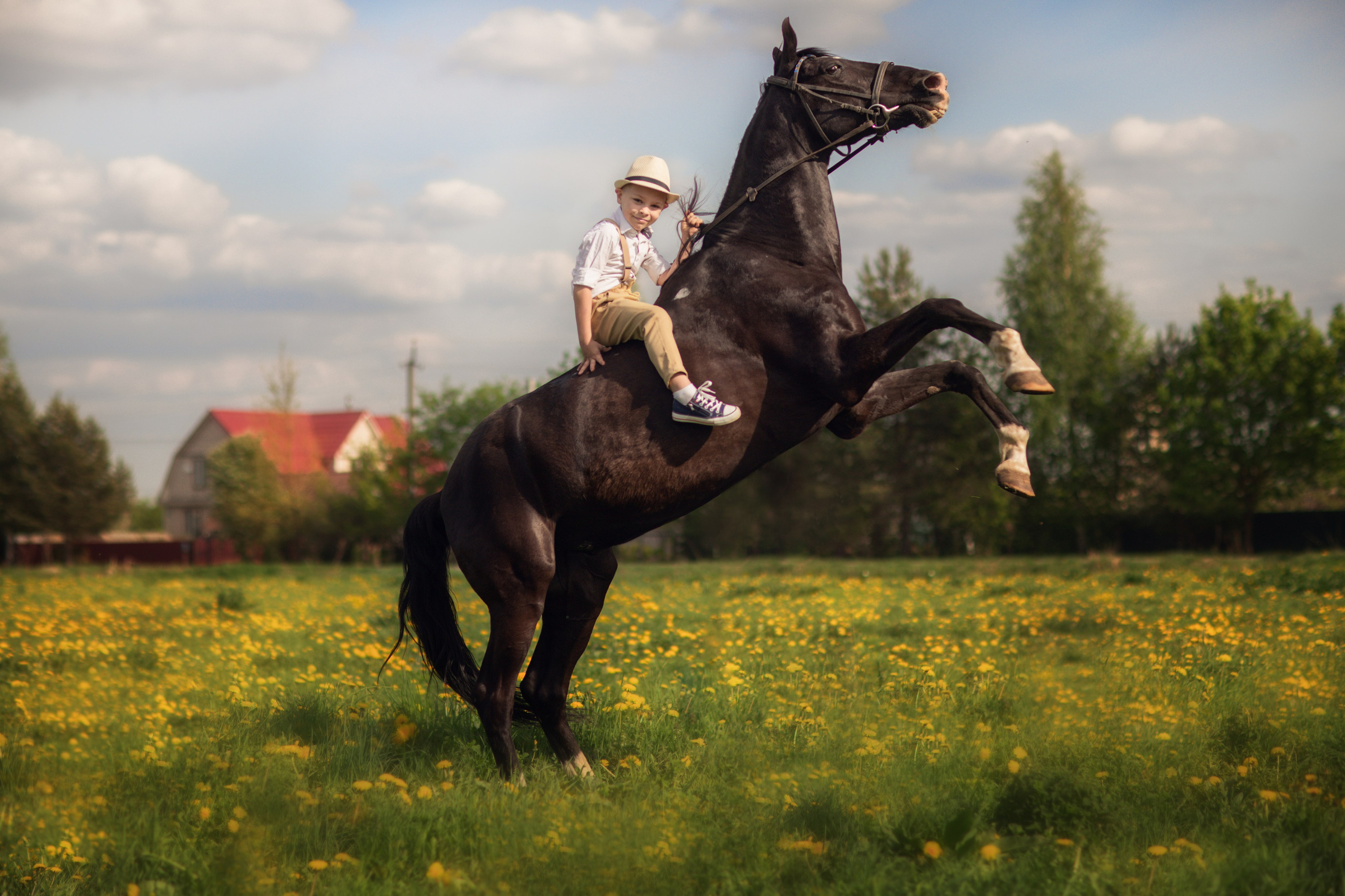 Фотосессия с лошадьми. Фотограф Санкт-Петербург Елена Мухина