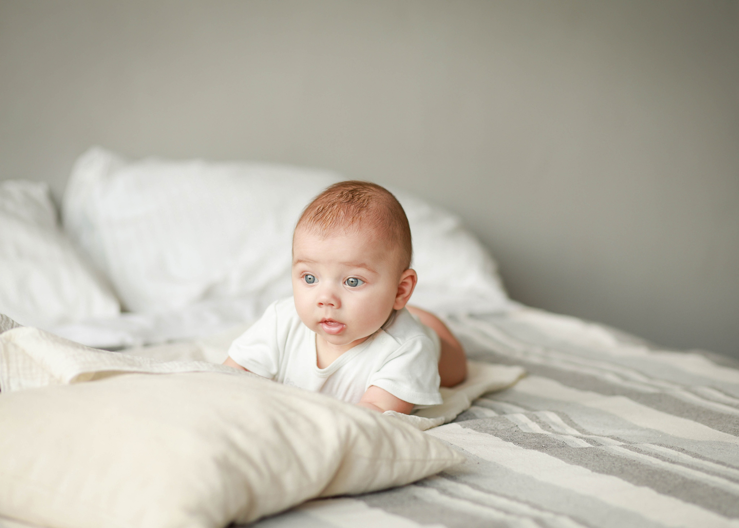 Лев. Семейный фотограф в Люберцах Шешина Анастасия