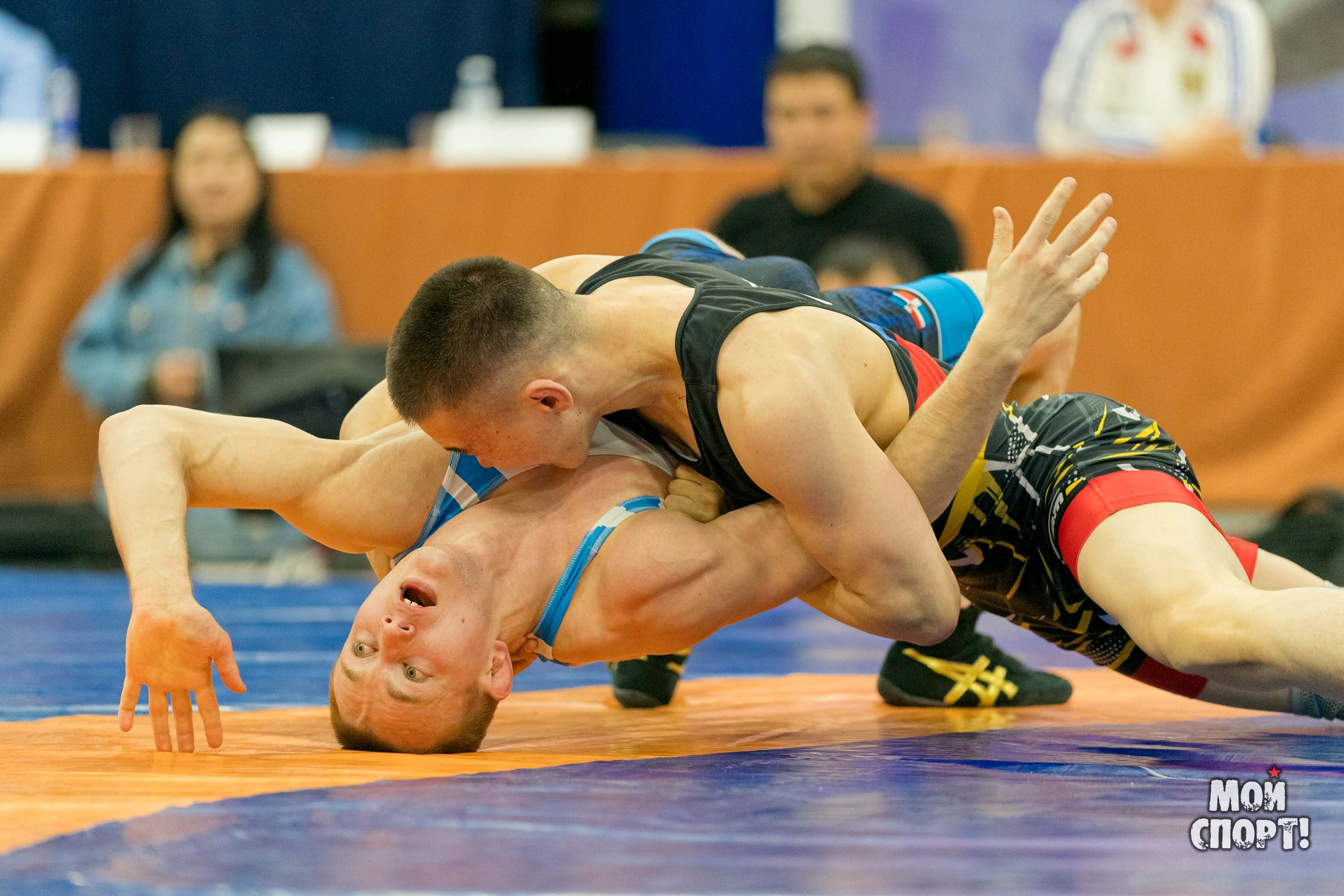 Чемпионат России среди студентов по спортивной борьбе 2024. ГРБ. Студия «Мой Спорт!» — все о спорте в Якутии
