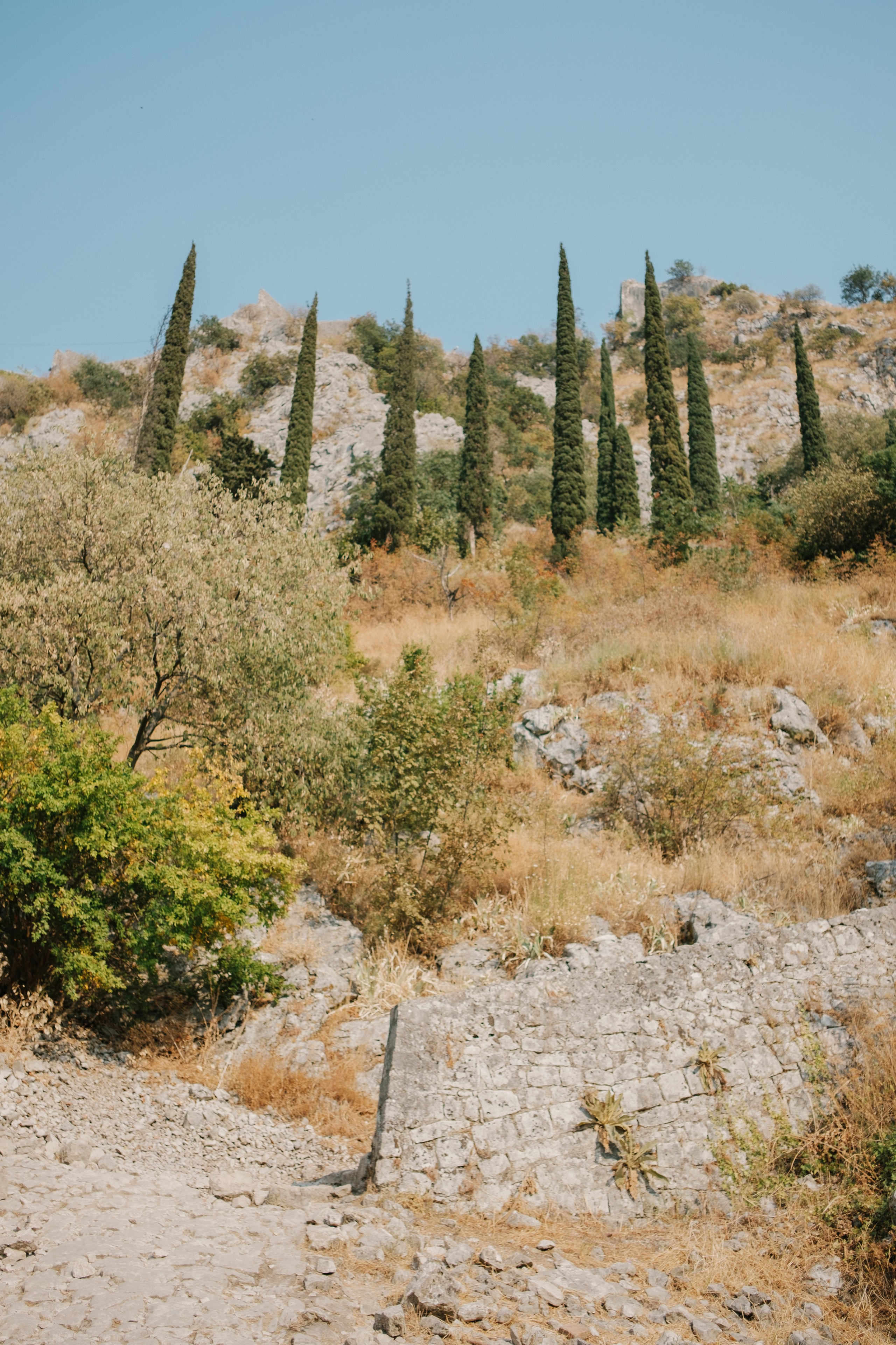 Ника — Tivat Montenegro. Свадебный Видеограф Фотограф в Сочи