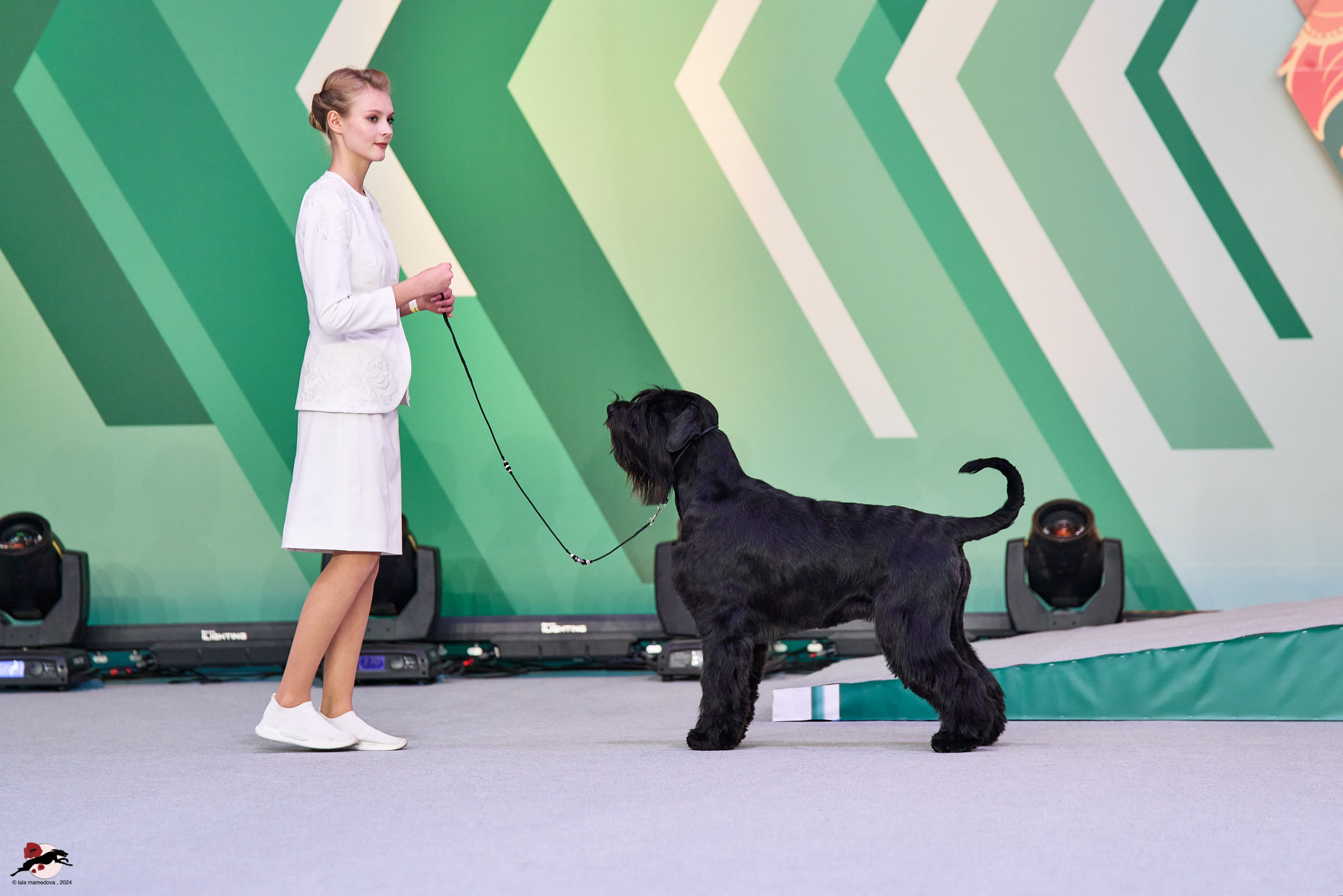 17.11.2024 «ЕВРАЗИЯ. КУБОК СНГ 2024»