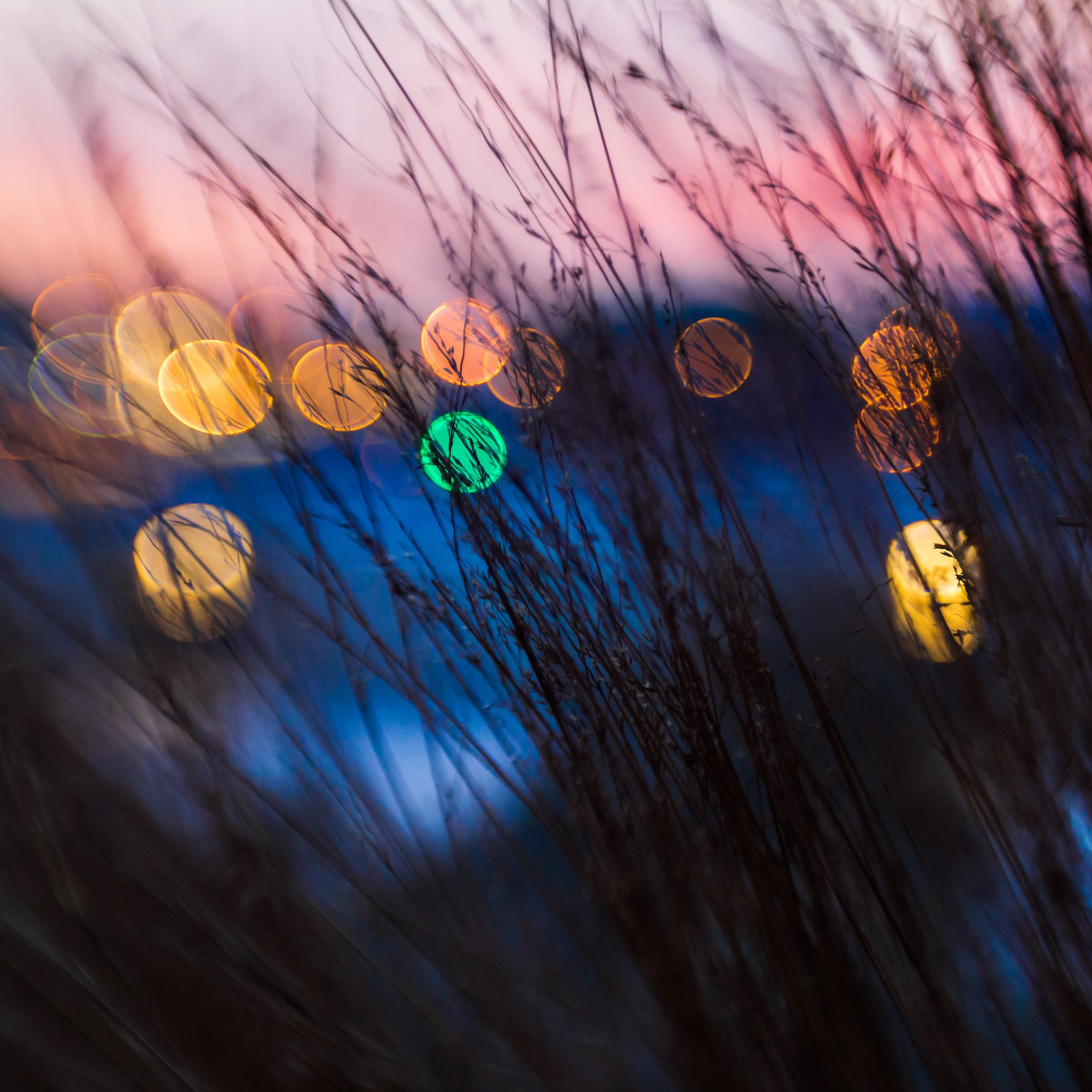 Москва 2017. Фотограф Василий Буланов