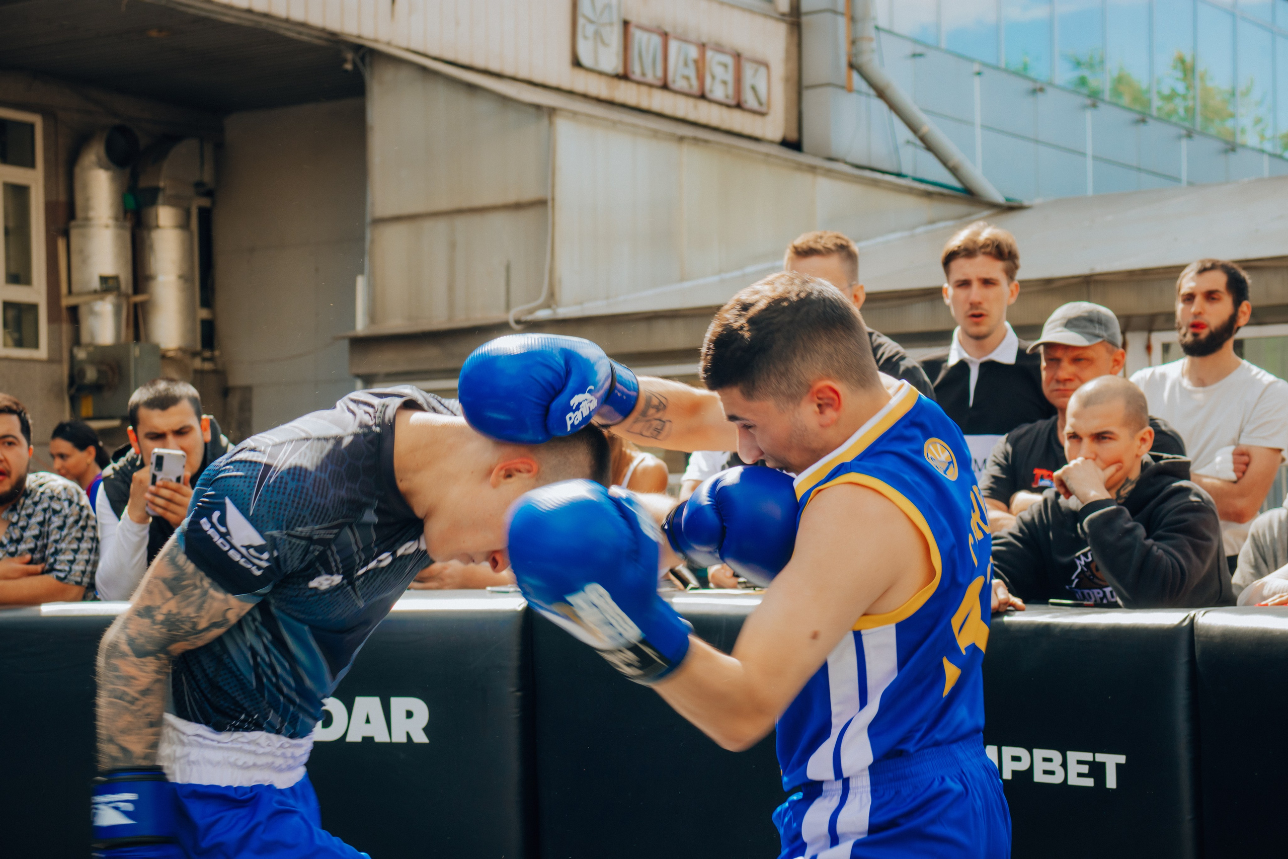 Открытый ринг. Анастасия Тен