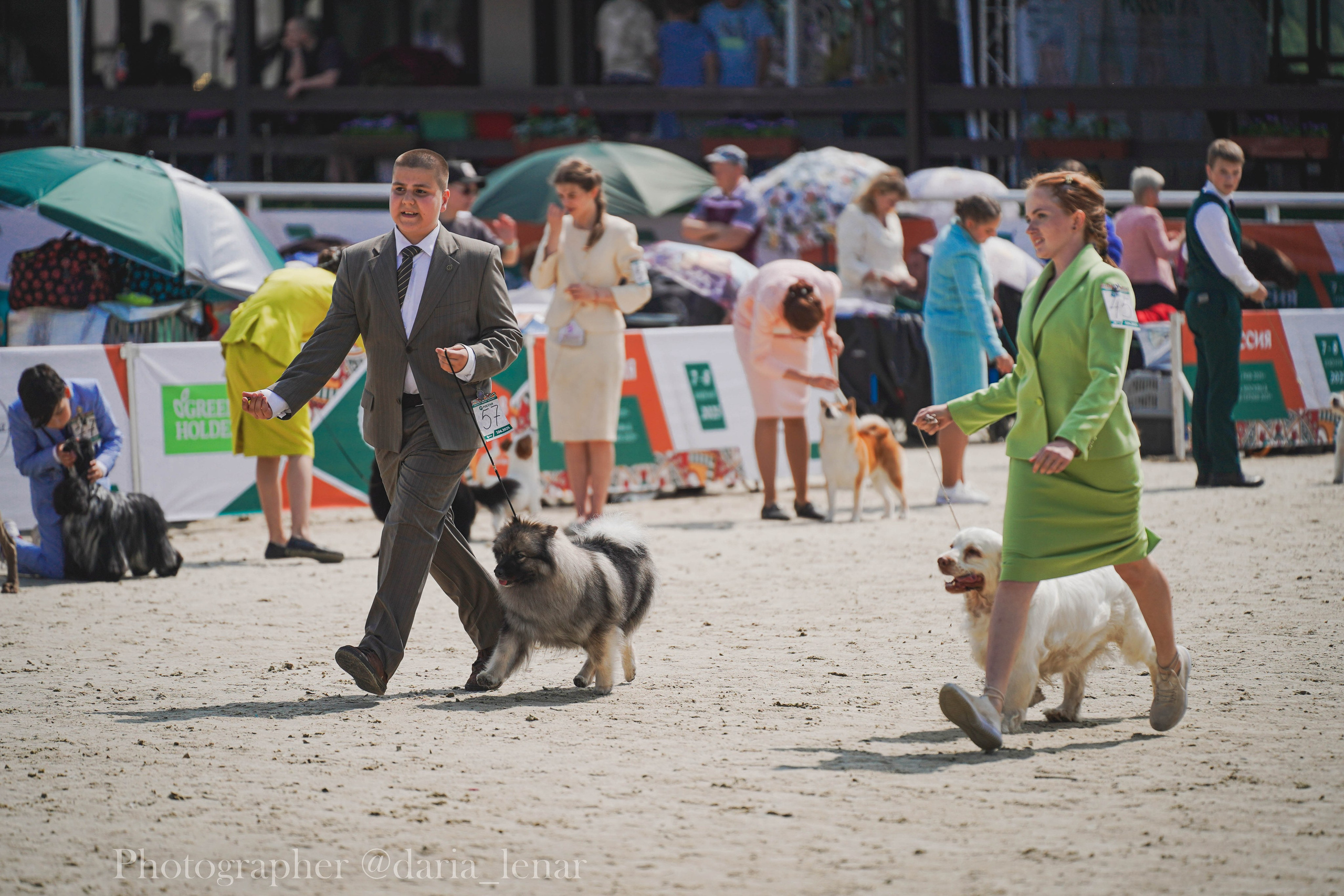 Выставки собак. Фотограф в Москве Ленарская Дарья