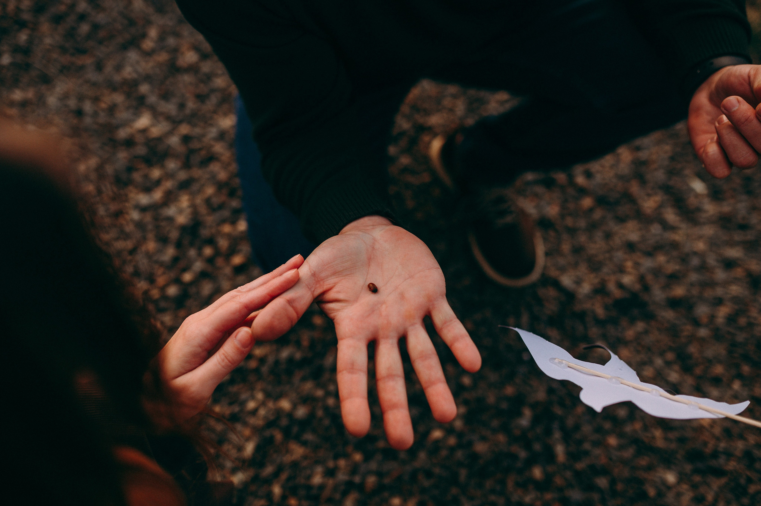 Лаки парк семейные осень. Фотограф в Болгарии. Фотограф в Созополе