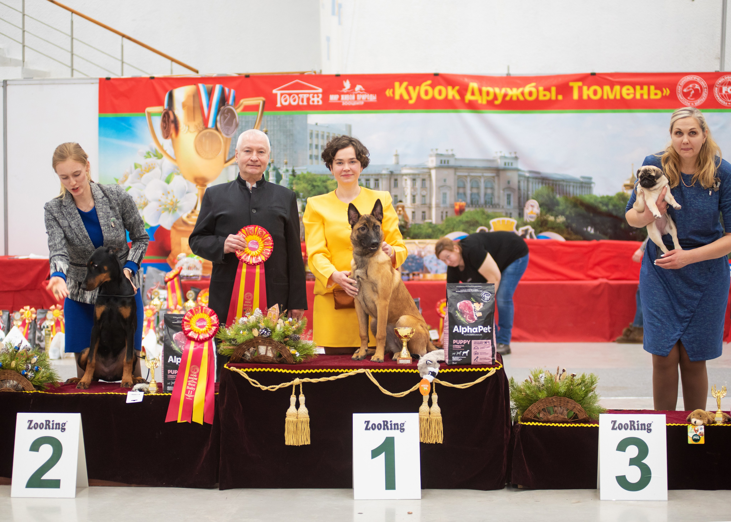 Выставка собак тюмень 14.01.2023. Дог-фотограф в Тюмени Александра Королева