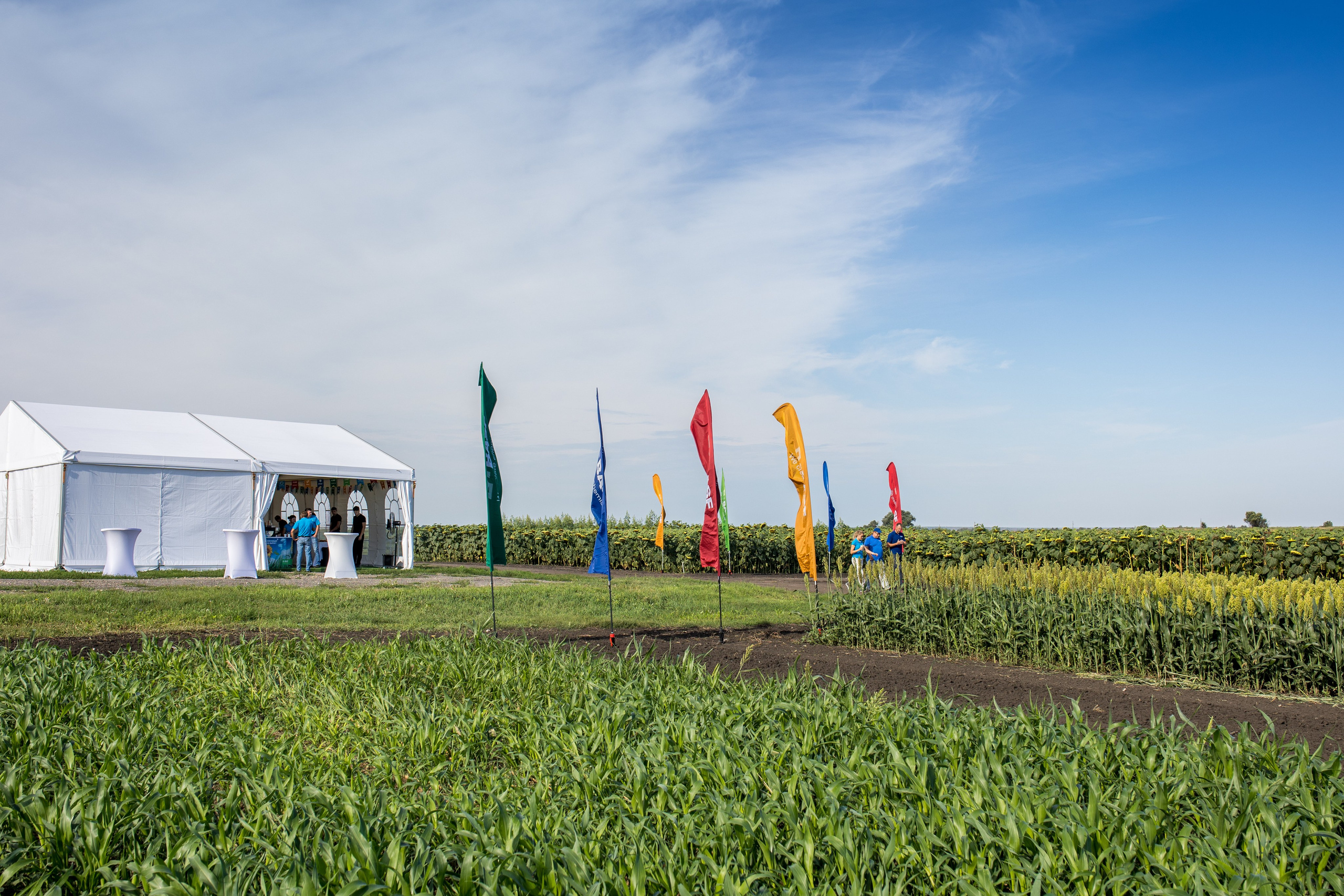 Решения для сельского хозяйства BASF 16.08.2022. Владислав Волков | Фотография и видеосъемка в Воронеже