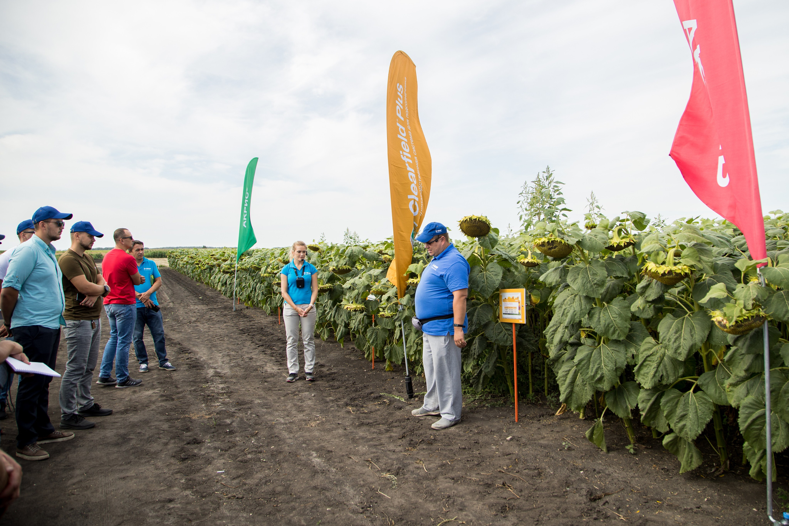 Решения для сельского хозяйства BASF 16.08.2022. Владислав Волков | Фотография и видеосъемка в Воронеже