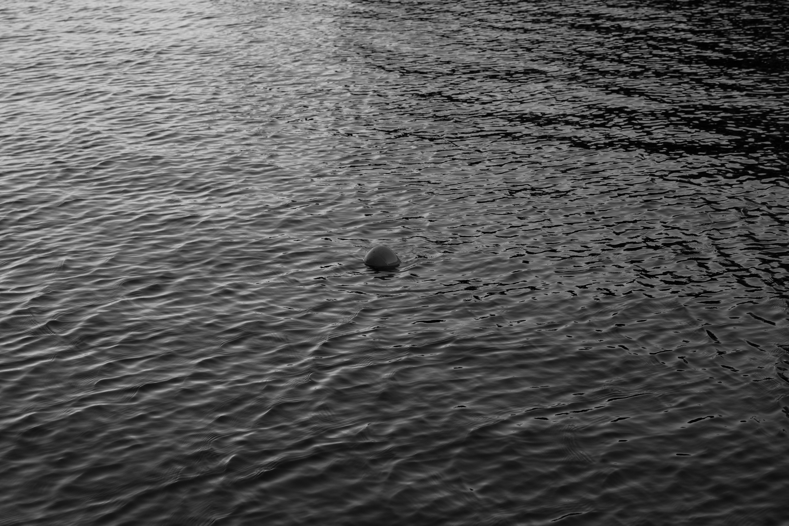 Art prints. Фотограф алина стерхова, алина стерхова фотограф, фотограф москва