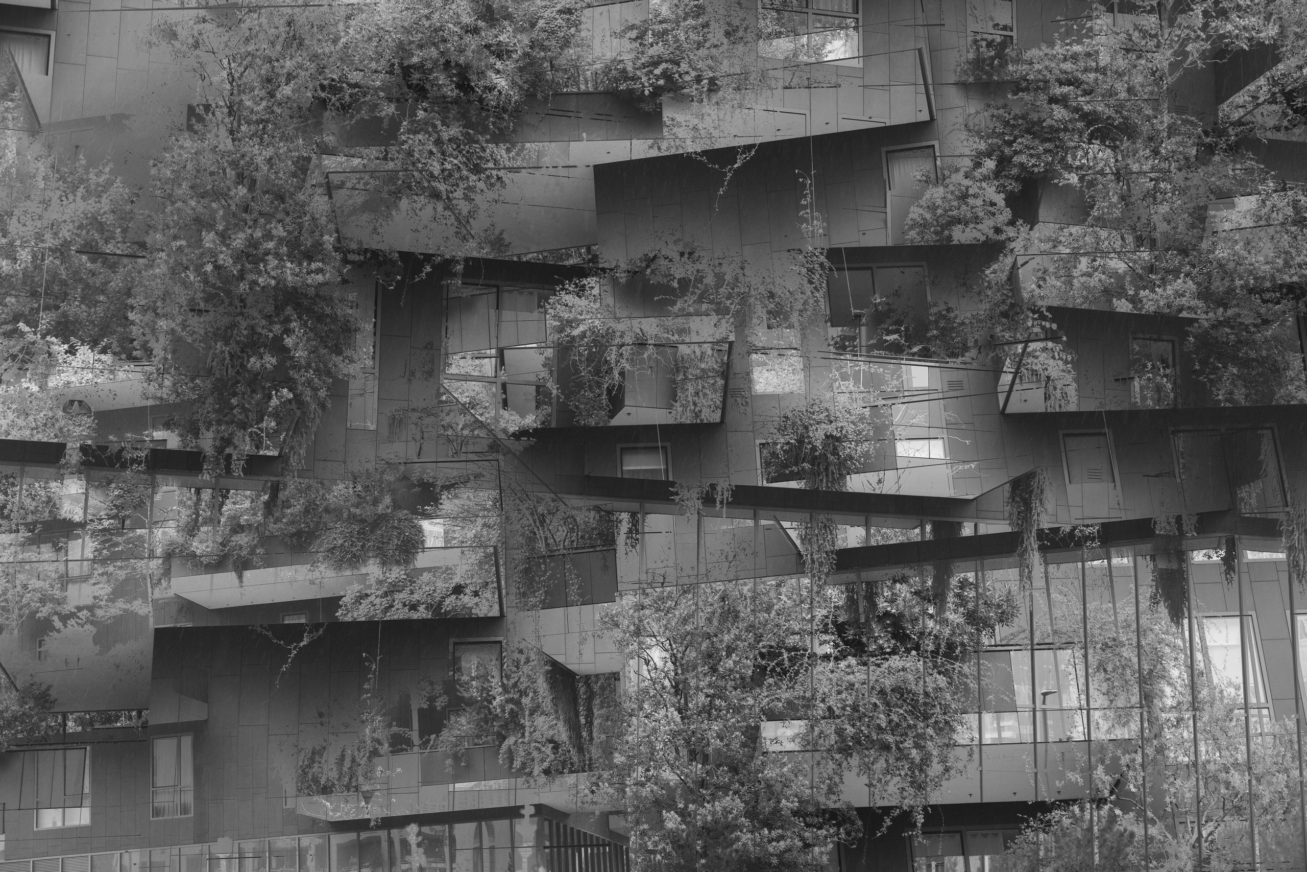 Art prints. Фотограф алина стерхова, алина стерхова фотограф, фотограф москва