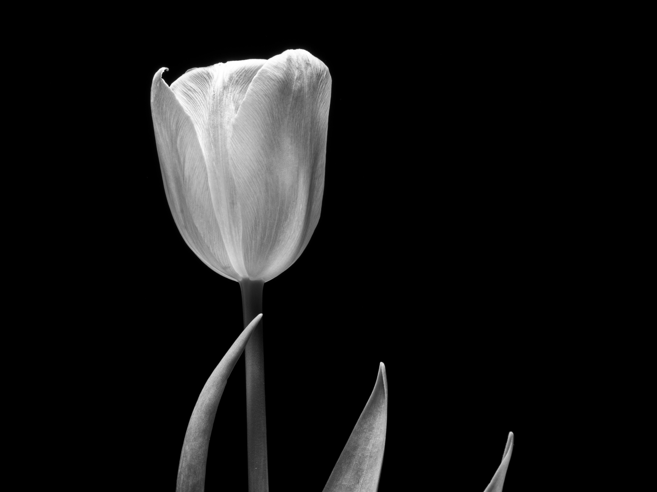 Ксюша Черотченко — фотограф из Санкт-Петербурга