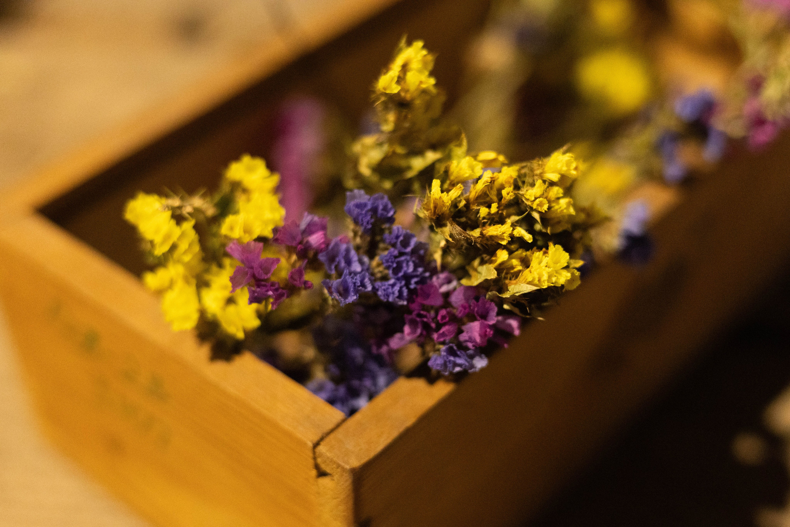 Выставка «Цветочек». Фотограф Шурыгина Эльвира Москва