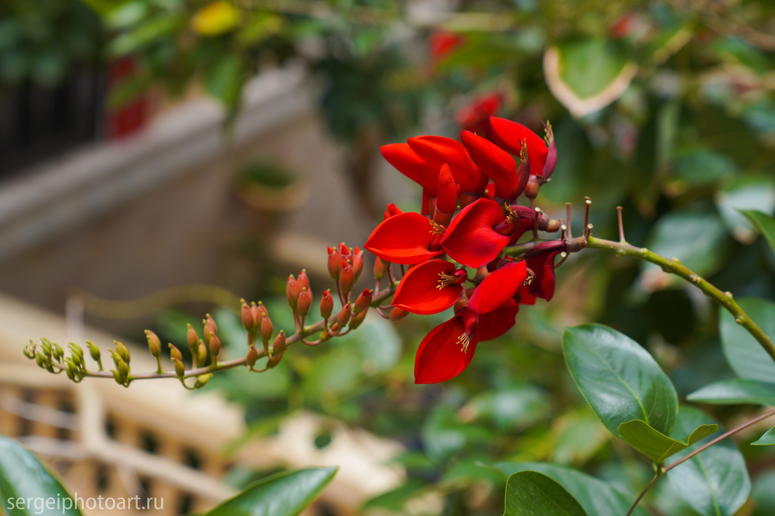 Sunset Town Остров Фукуок. Фотограф Сергей Кишкель Дананг Нячанг Фукуок