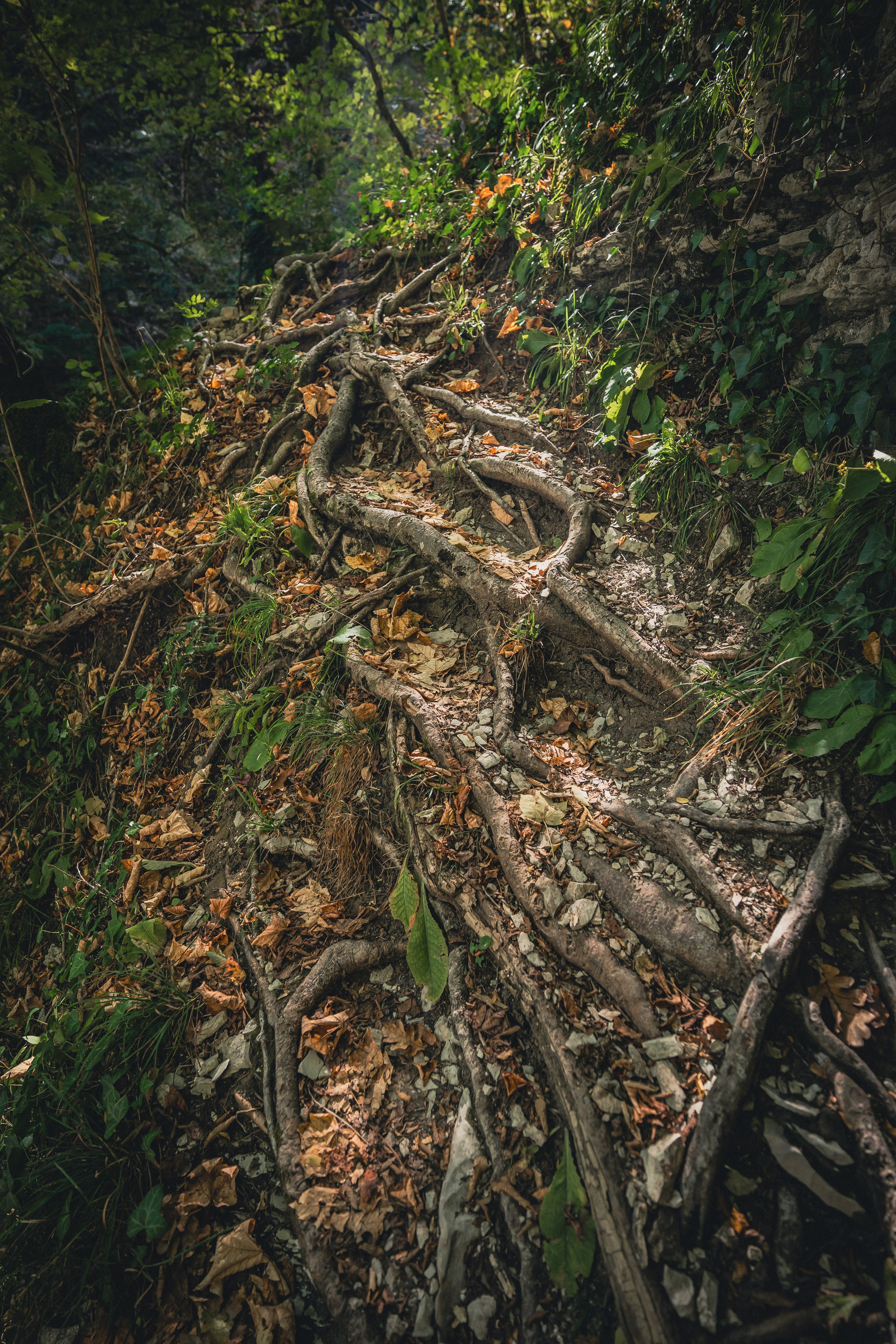 Поход на Полковничьи водопады АСК 26.09.23. Репортажный фотограф в Краснодаре Рындин Дмитрий