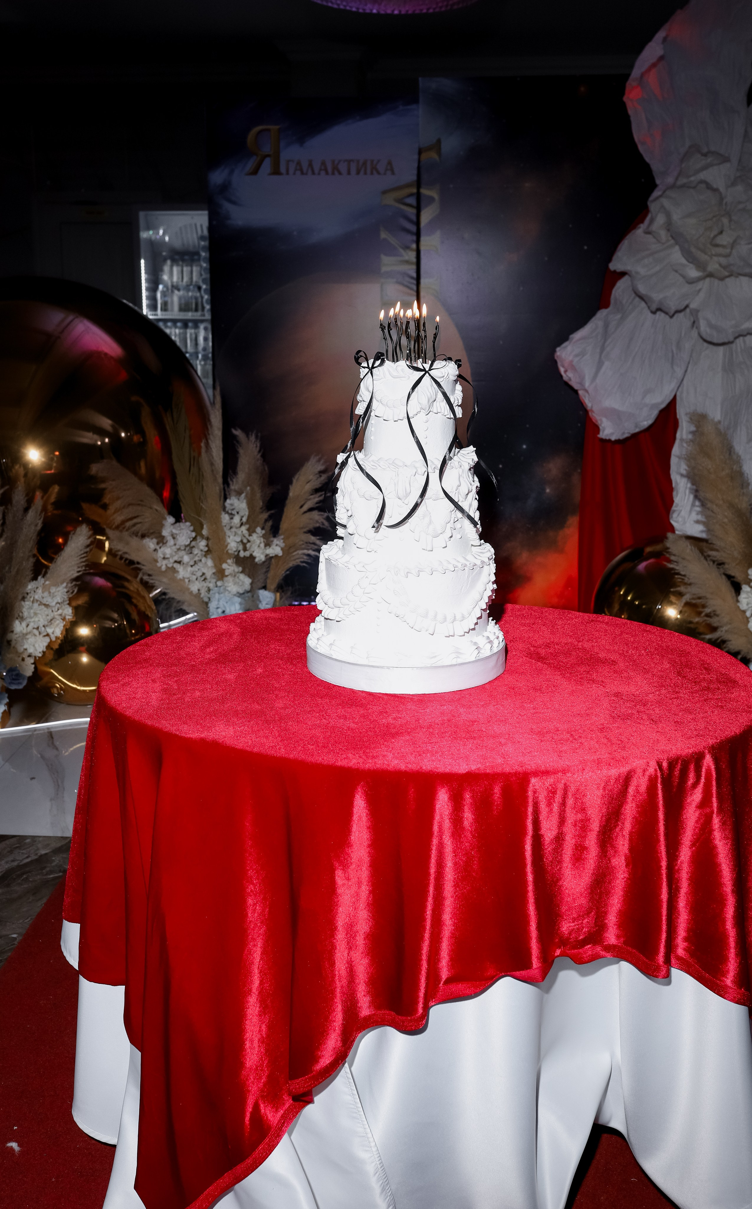 Роскошный вечер Наталии Карамянц