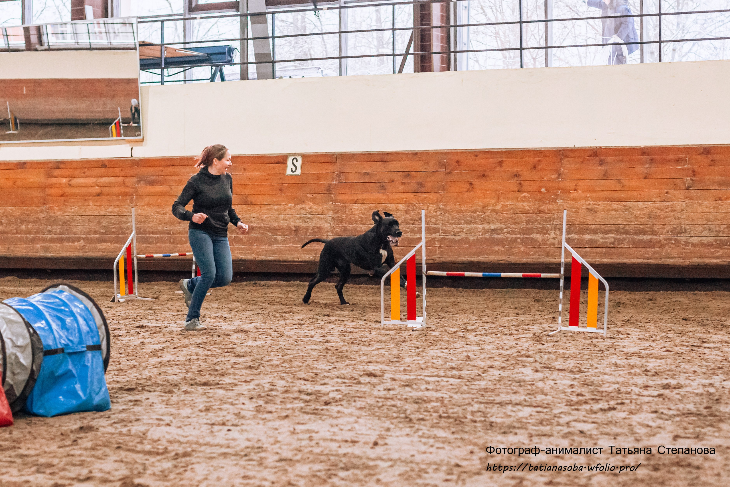 Соревнования по Аджилити 25.02.2024. Фотограф-анималист Татьяна Степанова