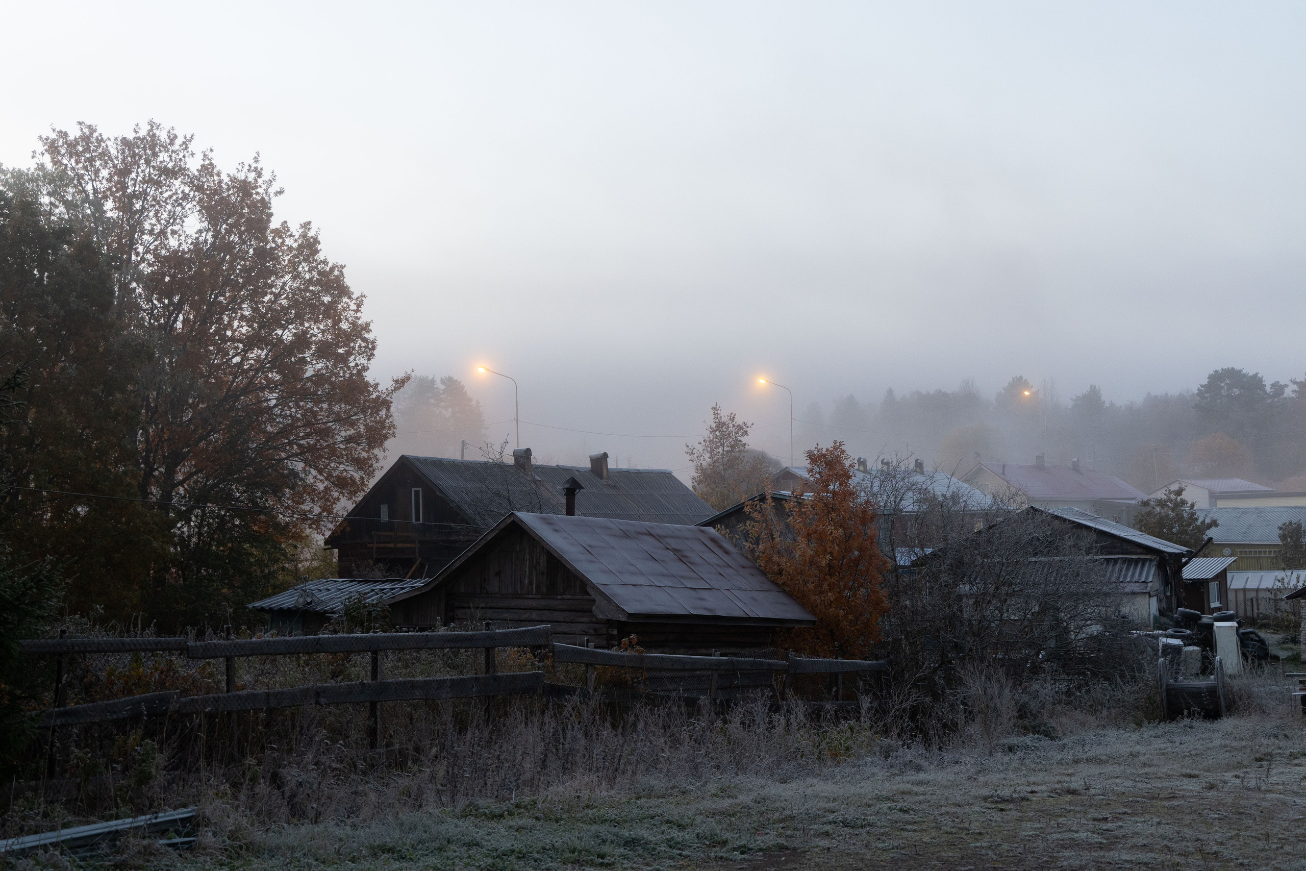 Природа Карелии октябрь 2025. Портретный и семейный фотограф Санкт-Петербург