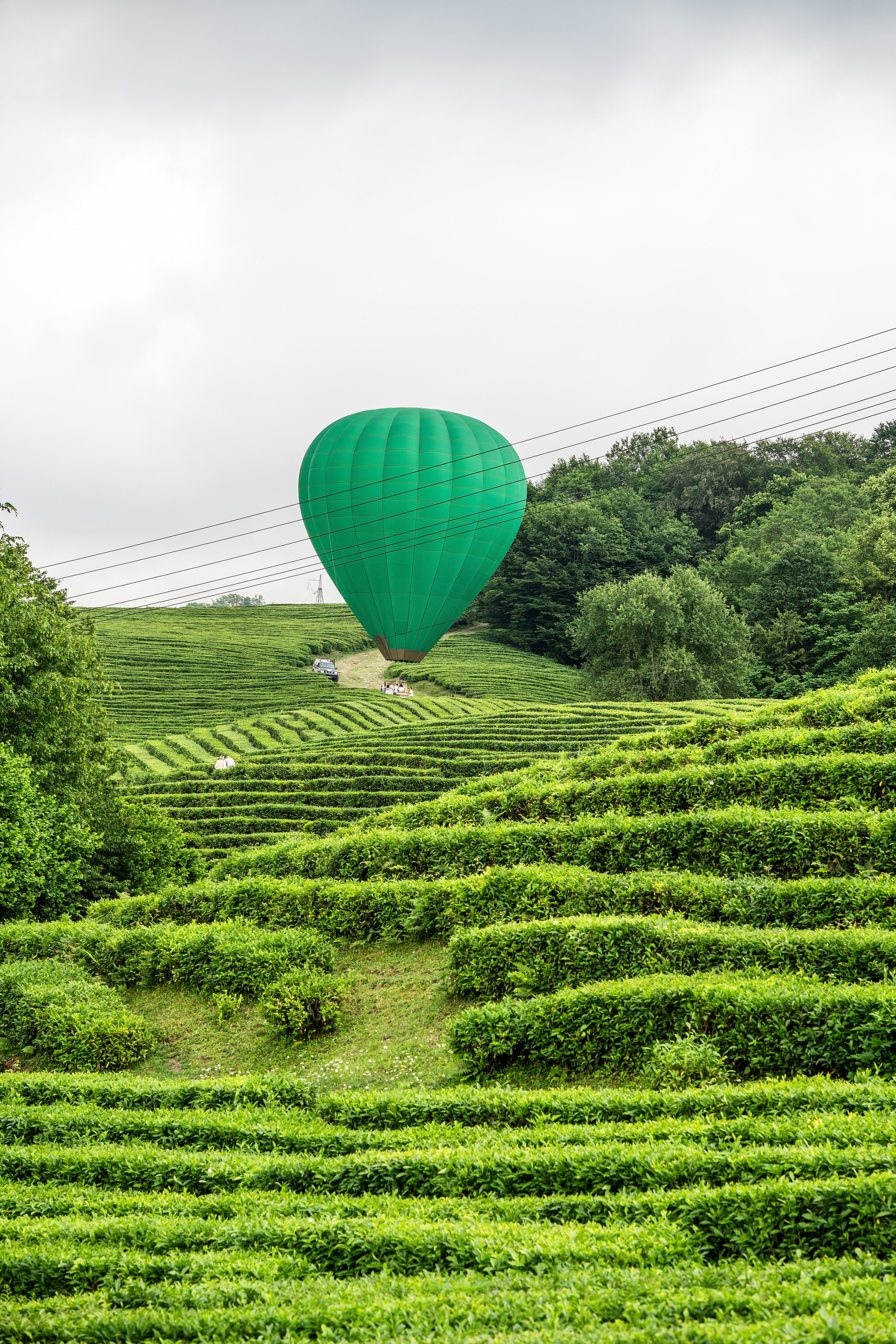Фотограф на праздник Сочи. Фотограф Сочи