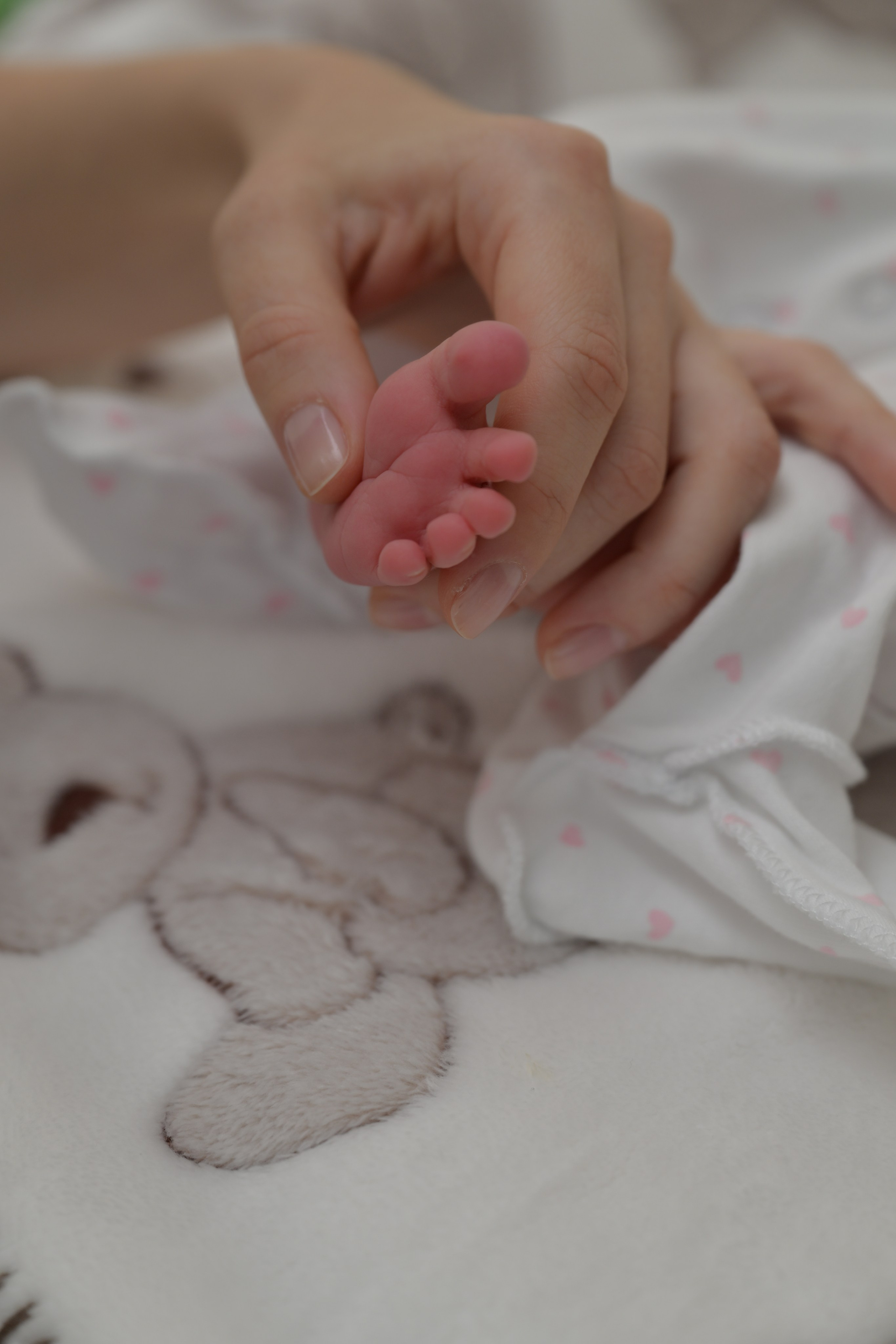 Newborn фотосессии новорожденных Baby Smile. Студийный и свадебный фотограф и видеограф в Севастополе — Юлия Макаренко