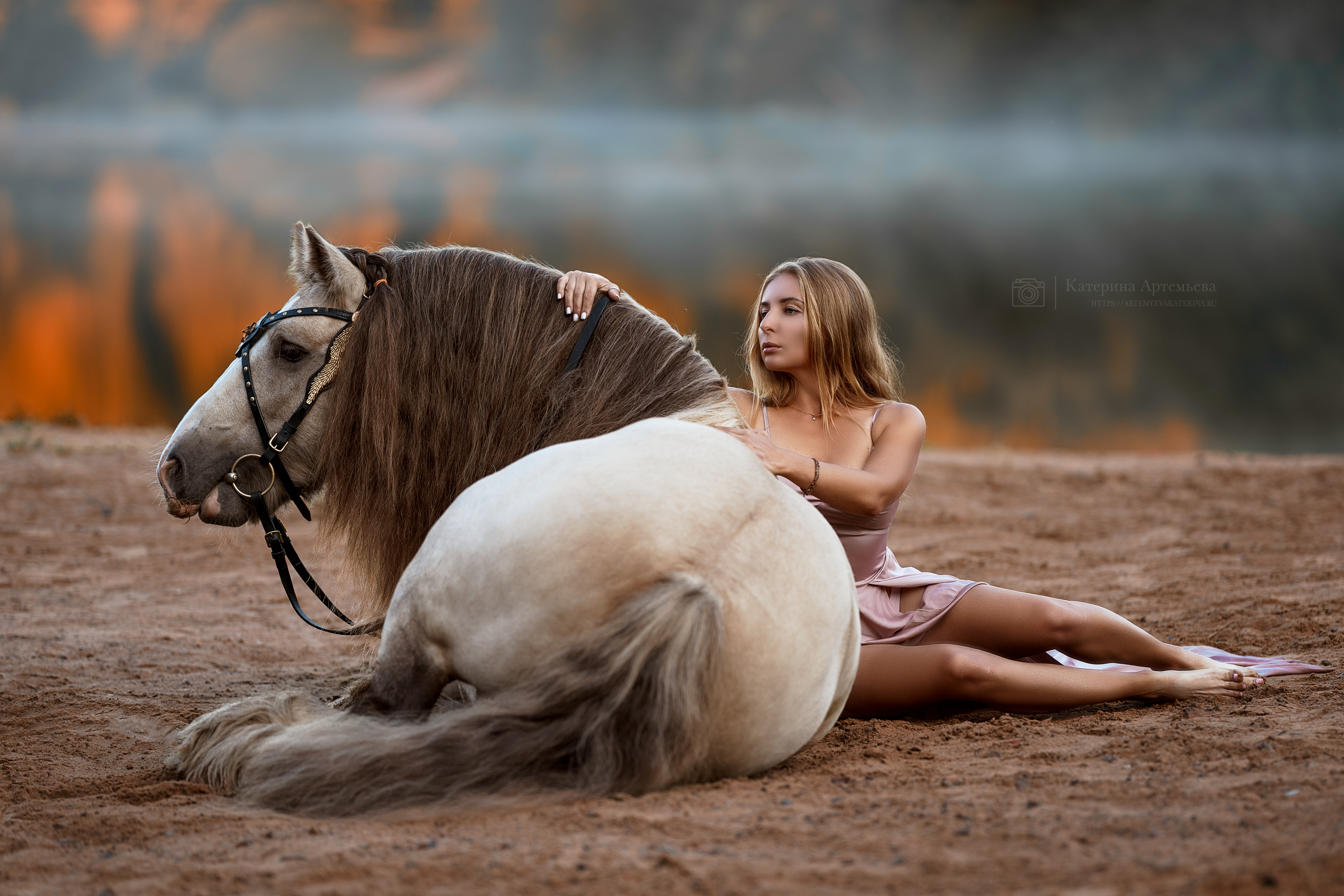 Фотосессии с лошадьми. Фотограф Артемьева Катерина|фотосессии с лошадьми