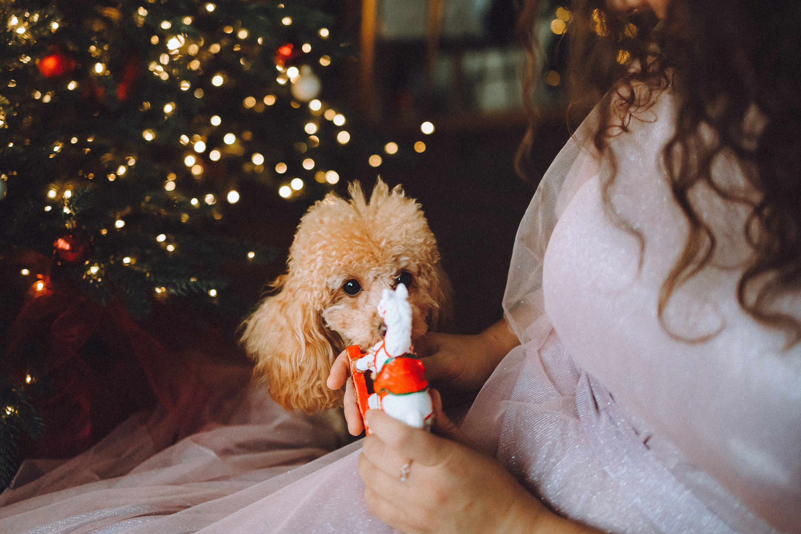 Джули, Шелли и их семья