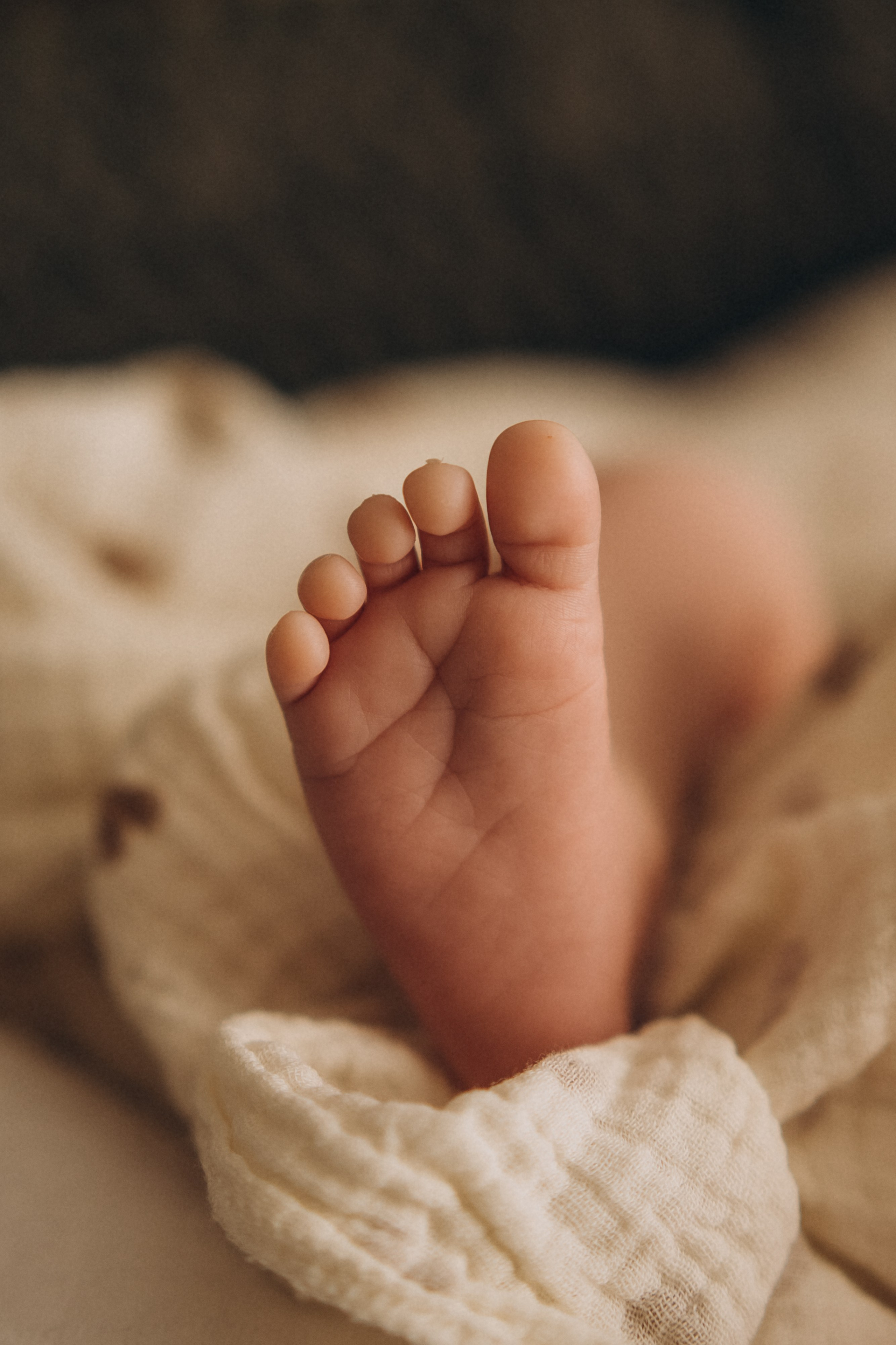 Денис / Алена и Ян. Фотограф в Санкт-Петербурге — Лучина Екатерина