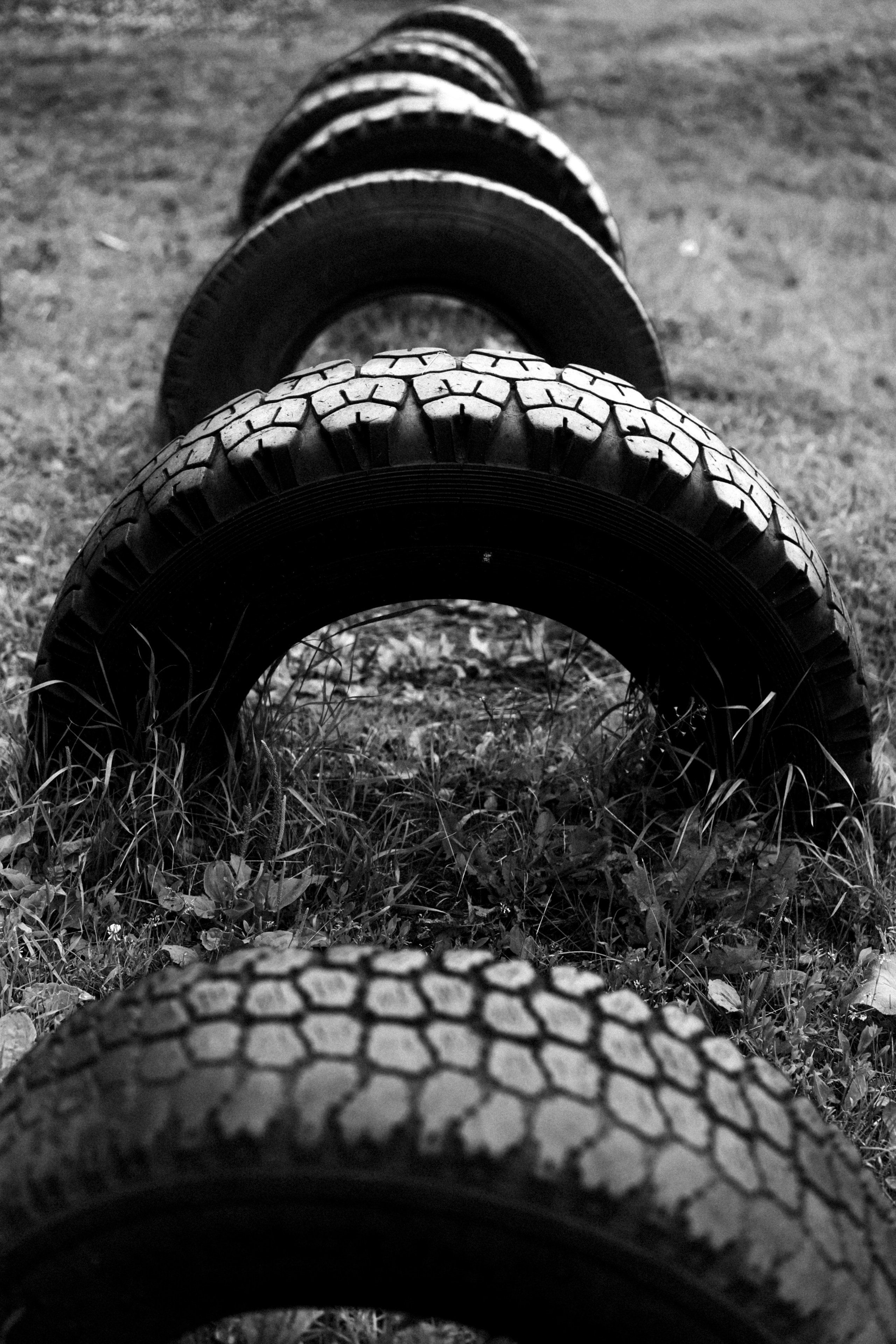 Лес. Veronika Popadeikina Photographer