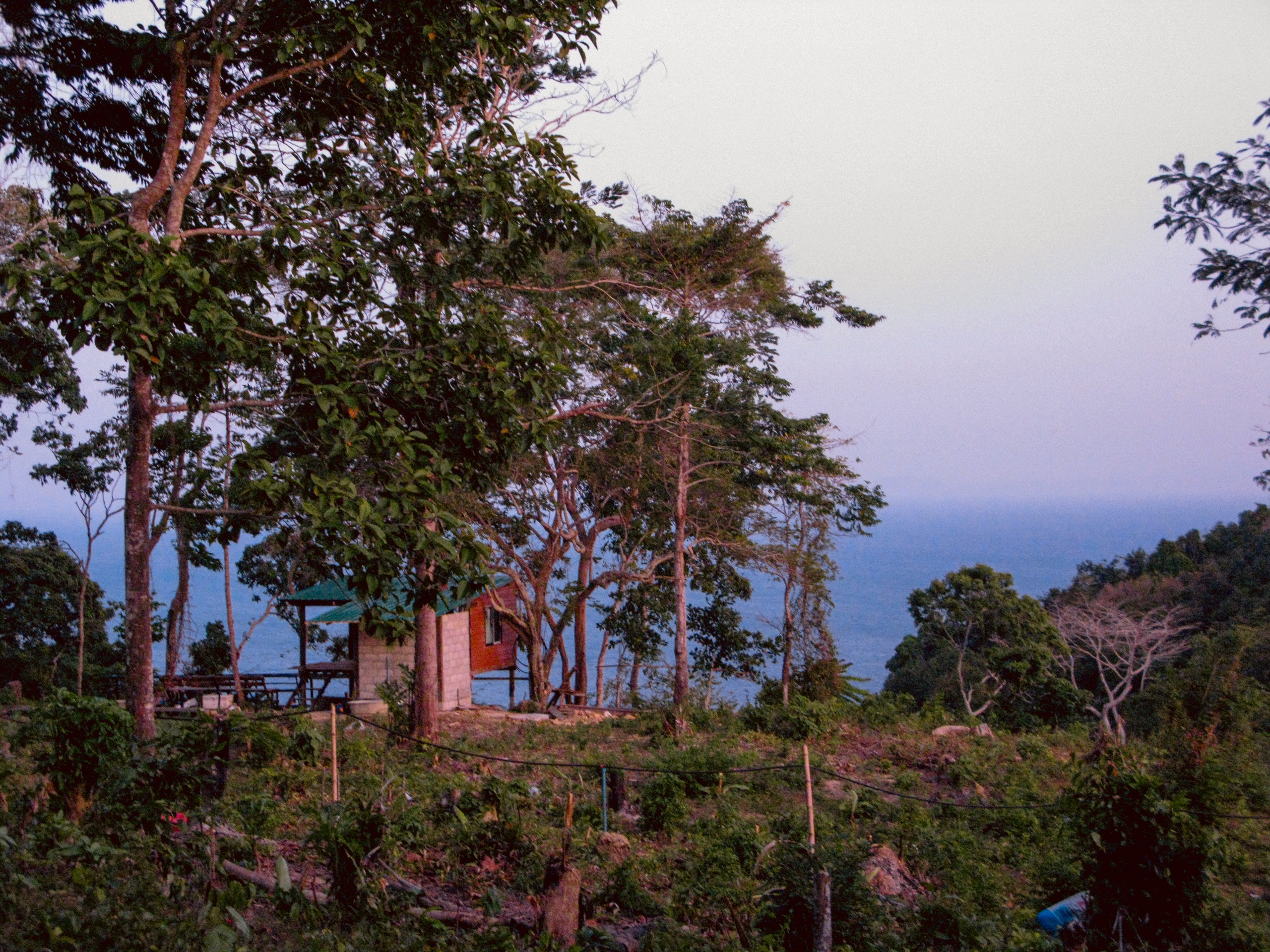 Thai. Фотограф Миланазавр