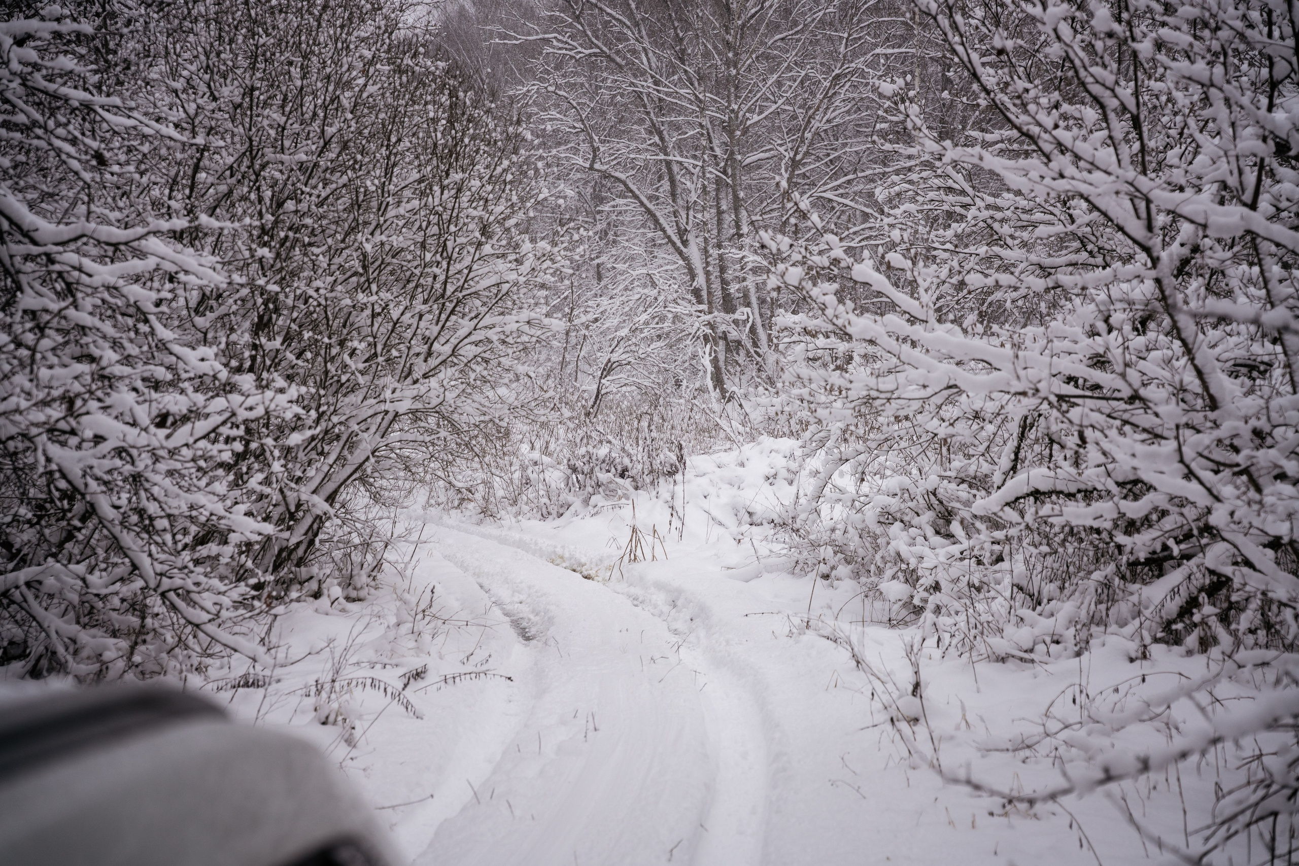 Поездка к р. Песочня и деревне Раевское. Vlad Trykov