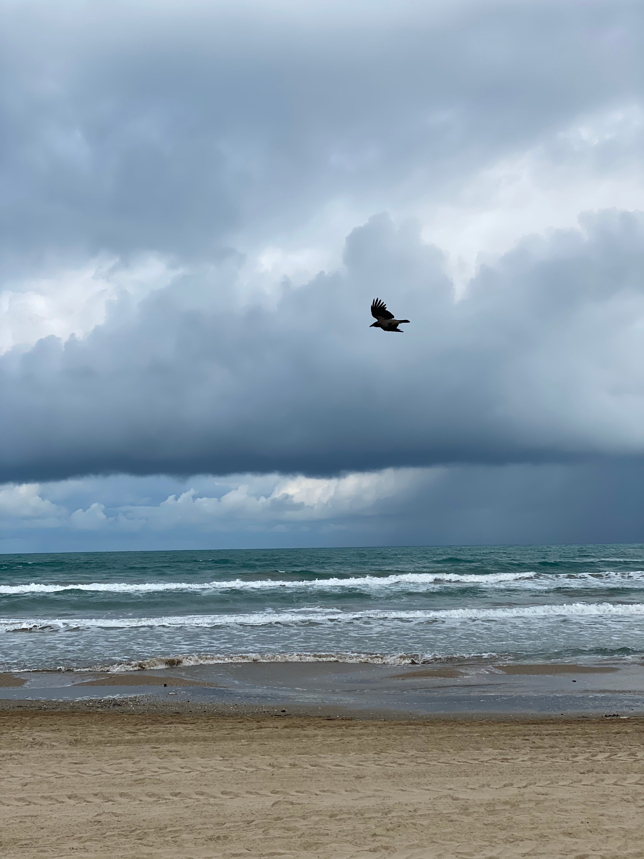 Анапа — 21. Своя Мастерская